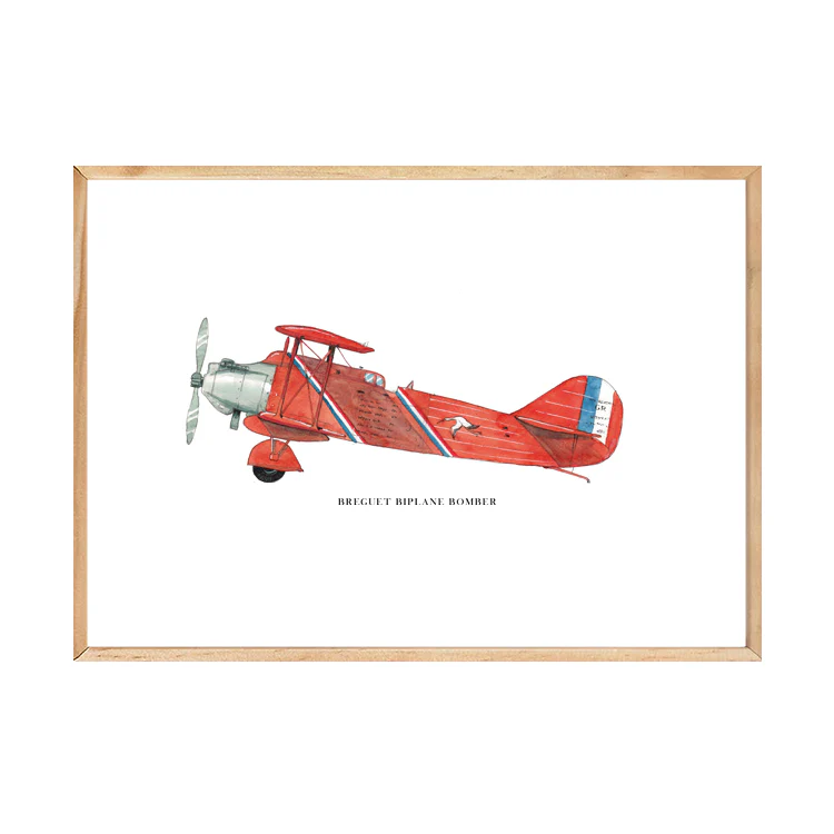 BREGUET AEROPLANE PRINT - Image 21