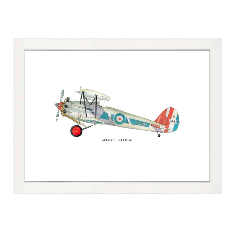 BRISTOL BULLDOG AEROPLANE PRINT - Image 10