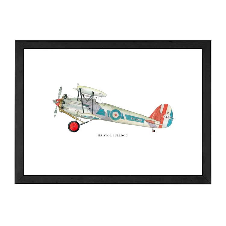 BRISTOL BULLDOG AEROPLANE PRINT - Image 11