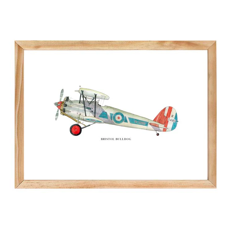 BRISTOL BULLDOG AEROPLANE PRINT - Image 12