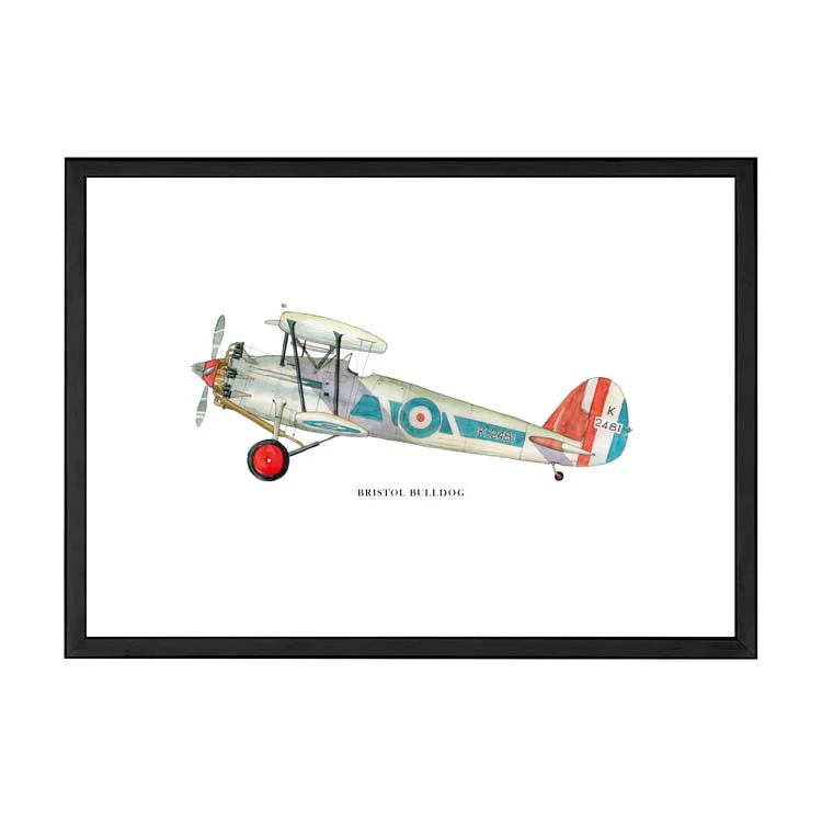 BRISTOL BULLDOG AEROPLANE PRINT - Image 13