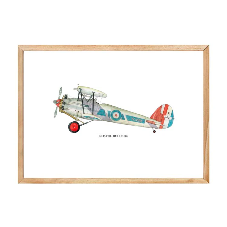 BRISTOL BULLDOG AEROPLANE PRINT - Image 14