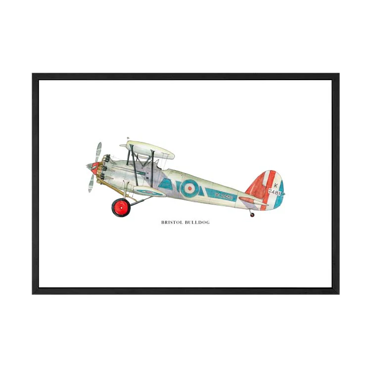 BRISTOL BULLDOG AEROPLANE PRINT - Image 16
