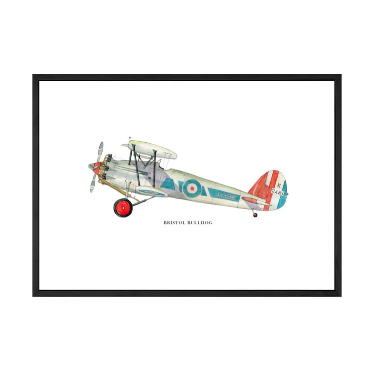 BRISTOL BULLDOG AEROPLANE PRINT - Image 17
