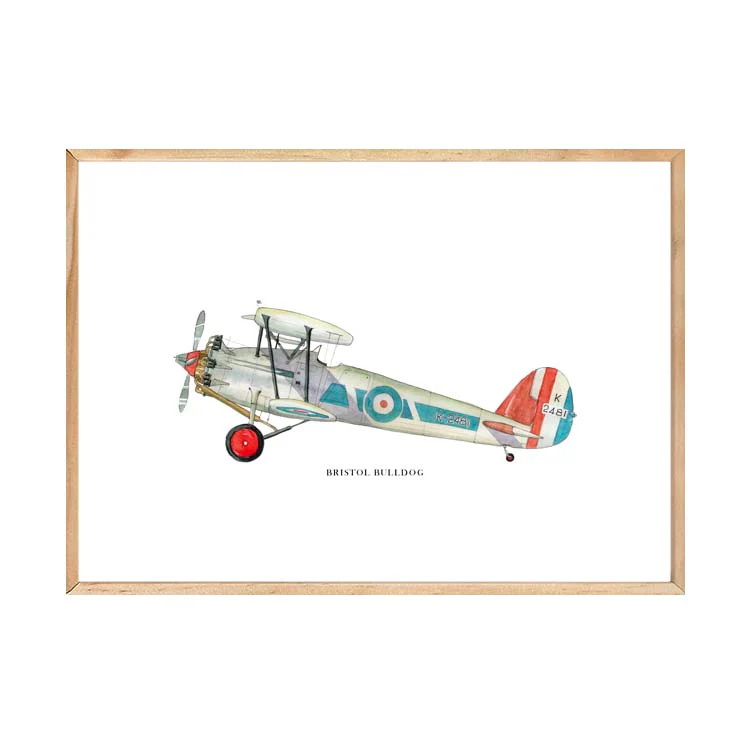 BRISTOL BULLDOG AEROPLANE PRINT - Image 19