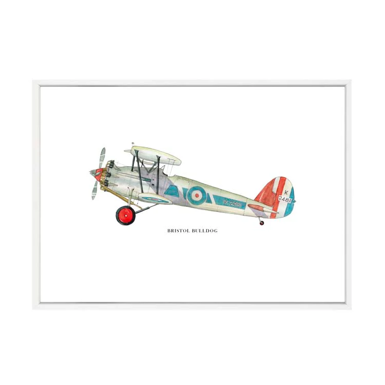 BRISTOL BULLDOG AEROPLANE PRINT - Image 20