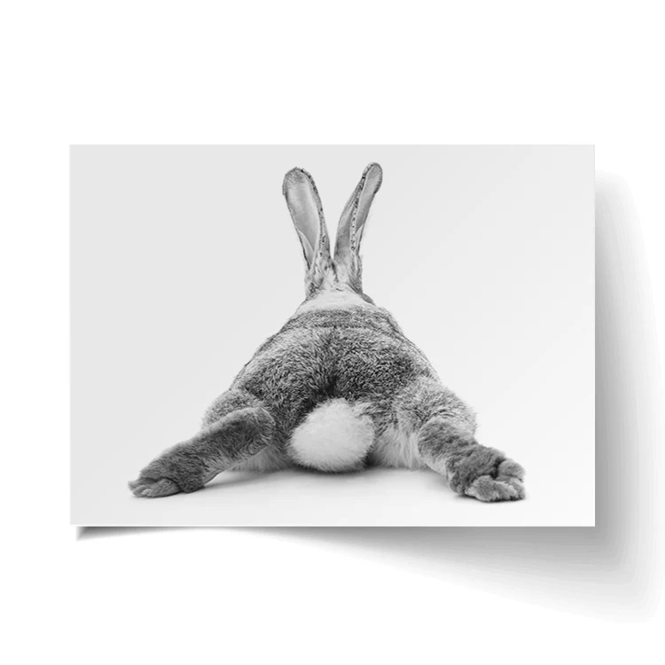 BUNNY BUM PRINT - Image 16