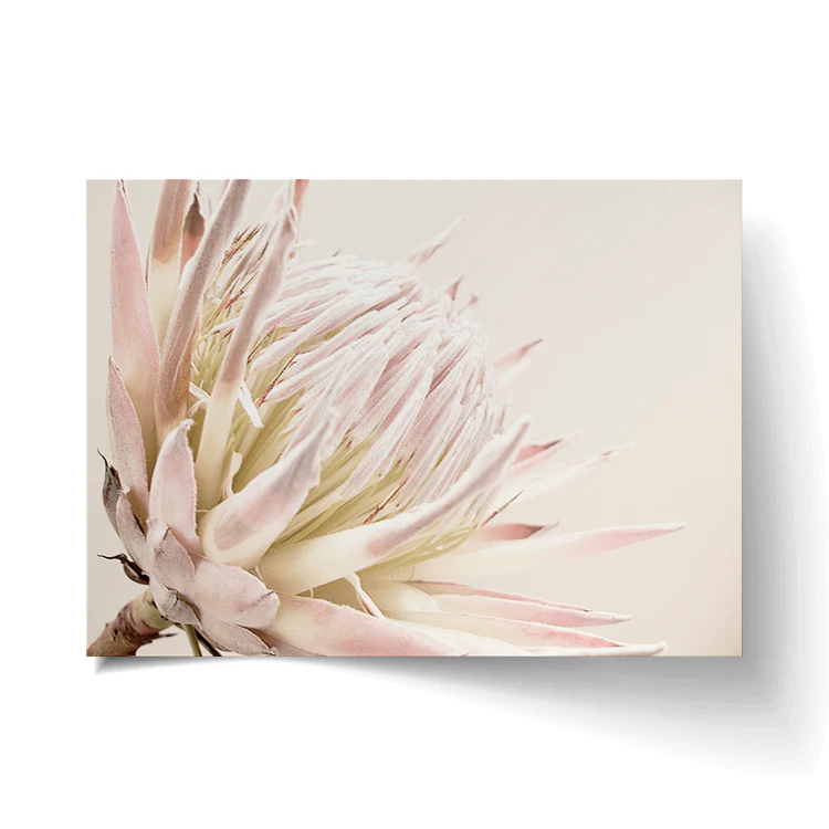 ISLA PROTEA PRINT - Image 16