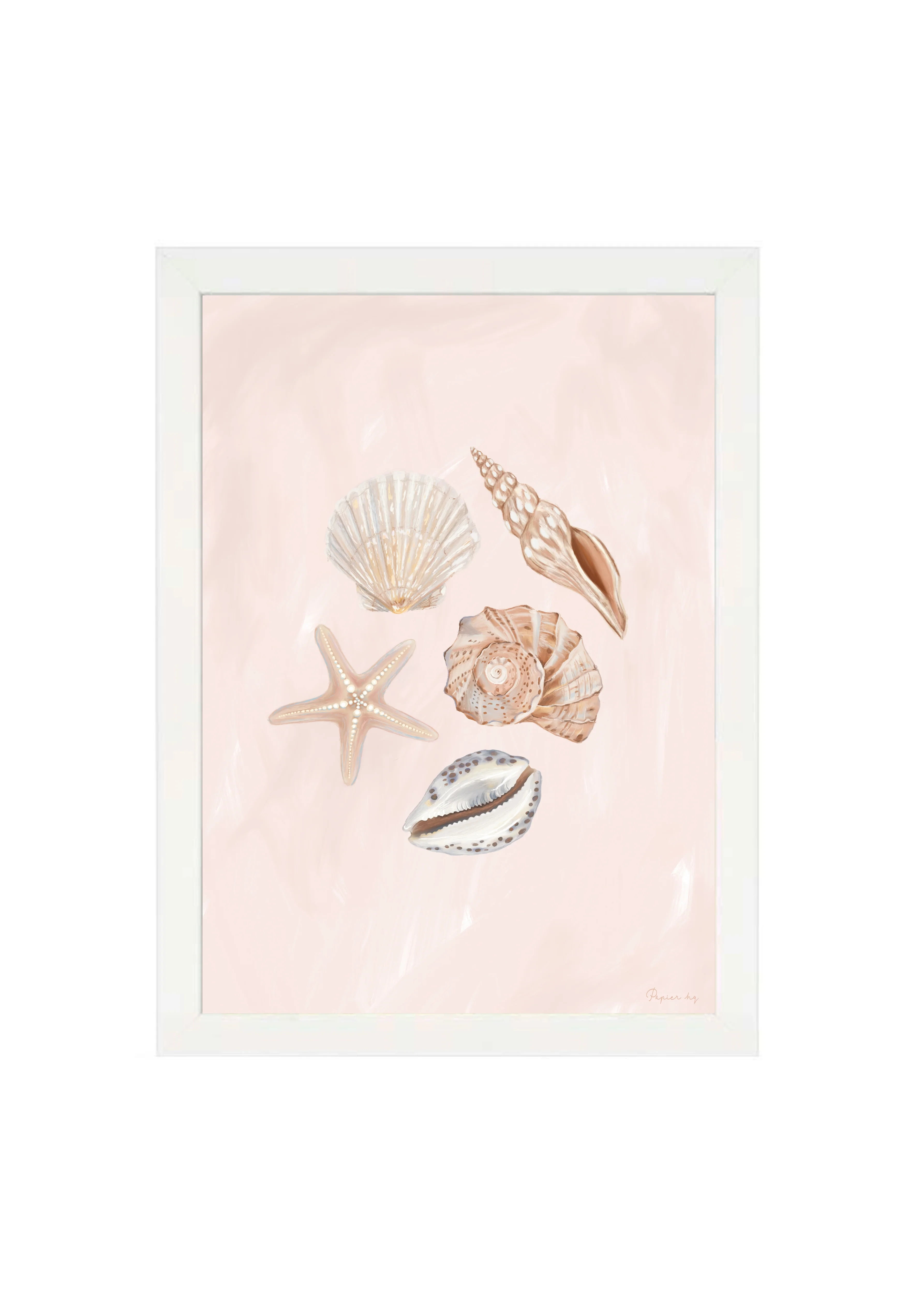 She Sells Seashells - Image 10