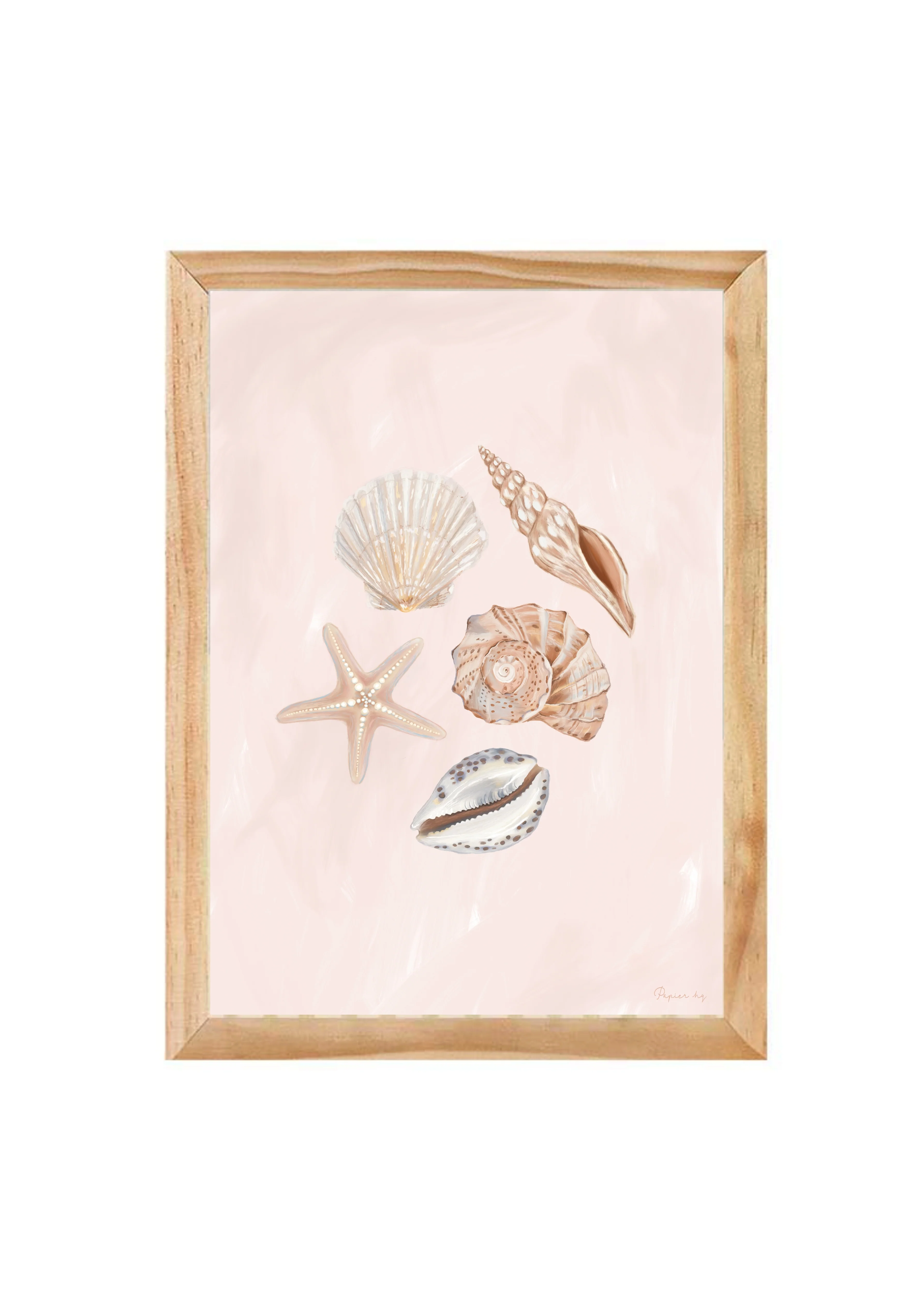 She Sells Seashells - Image 11