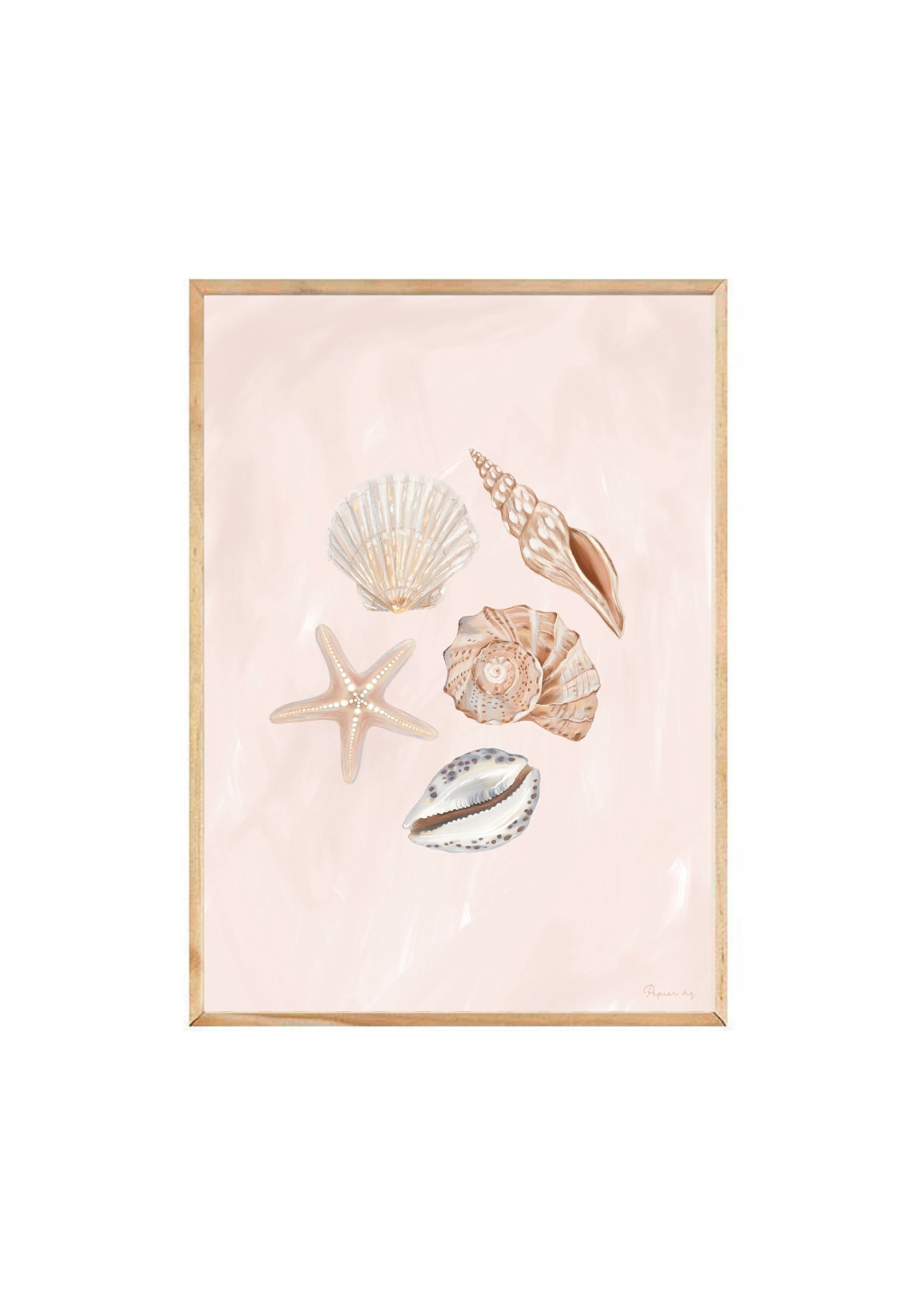 She Sells Seashells - Image 12