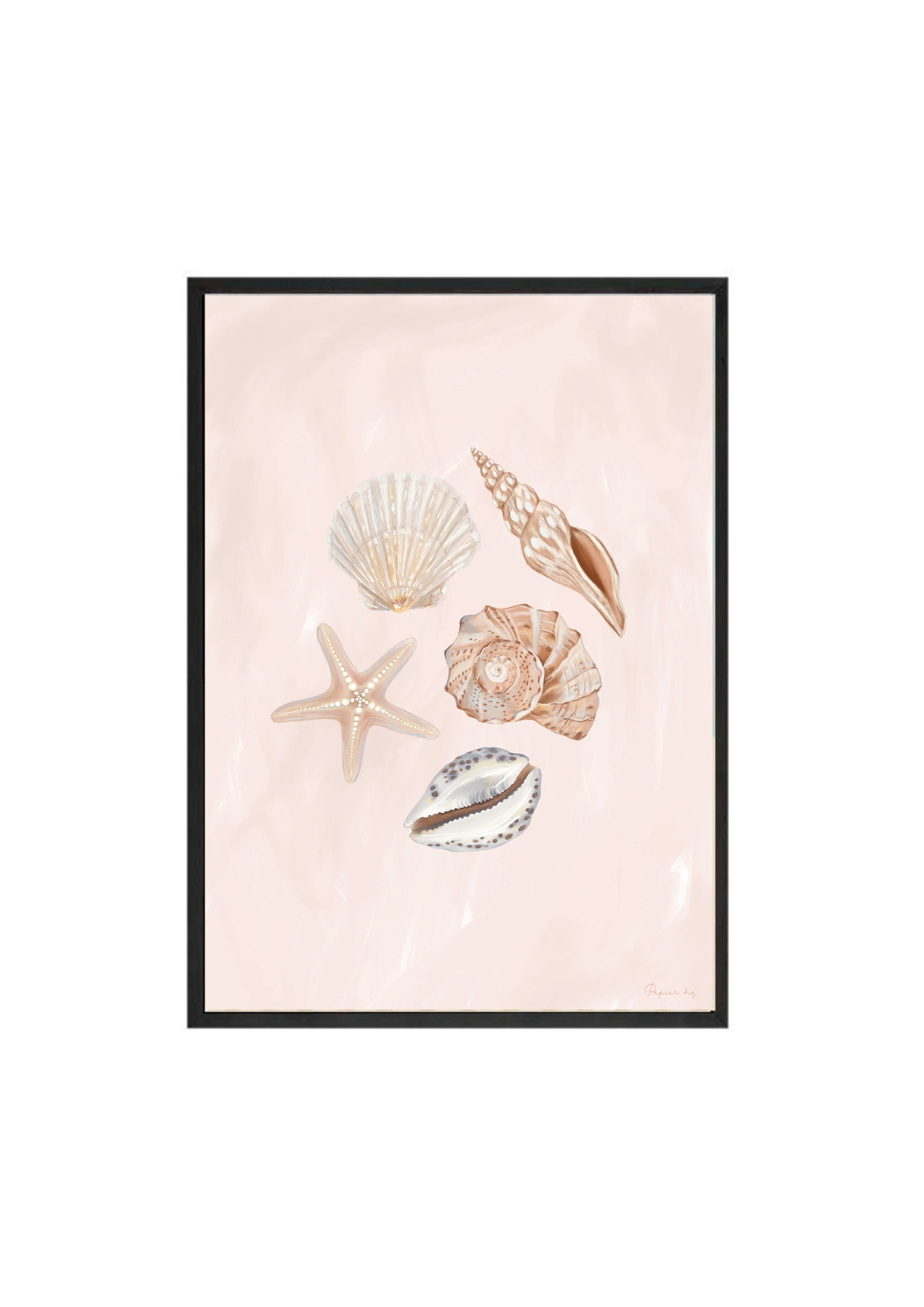 She Sells Seashells - Image 13