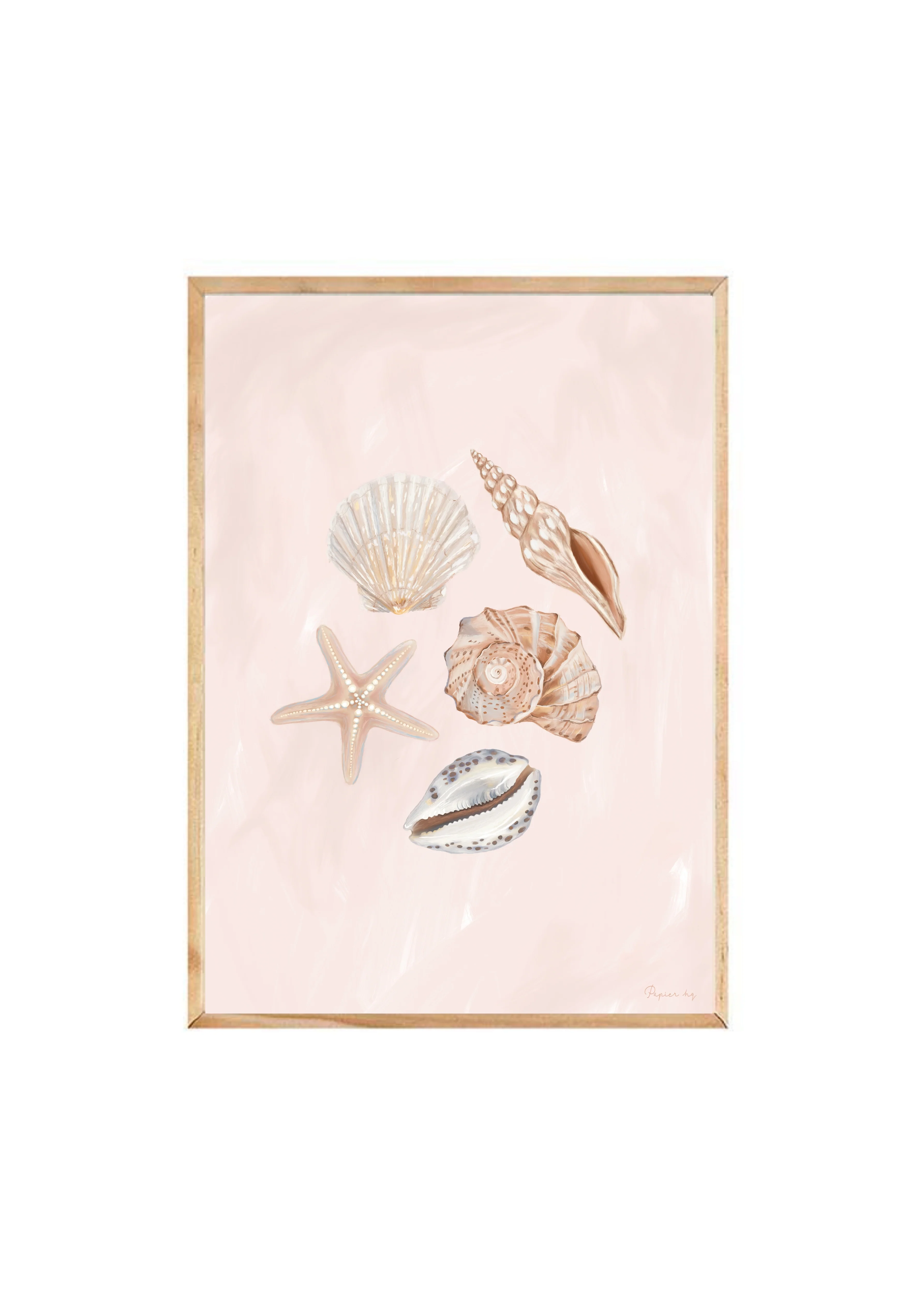 She Sells Seashells - Image 14