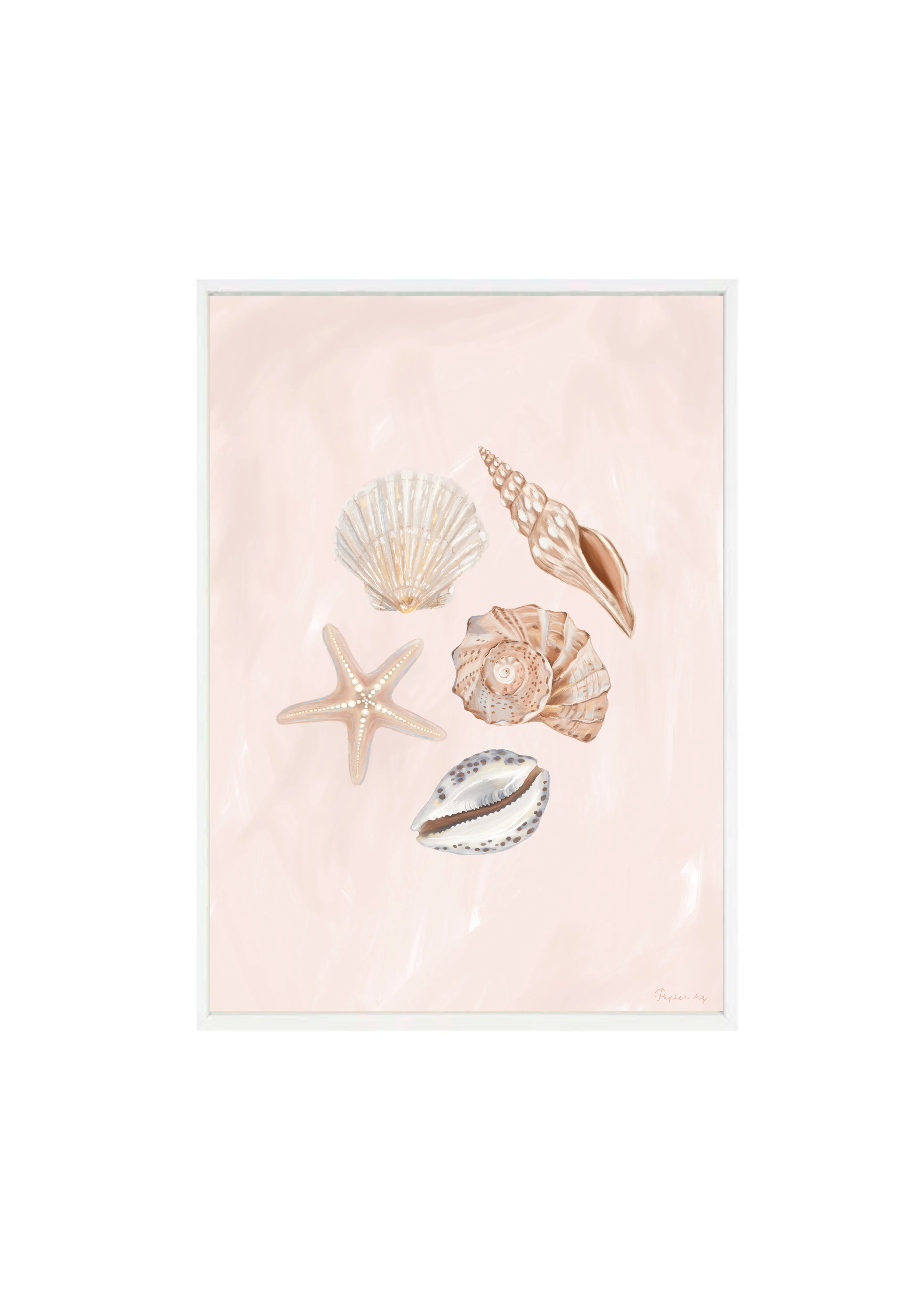 She Sells Seashells - Image 15