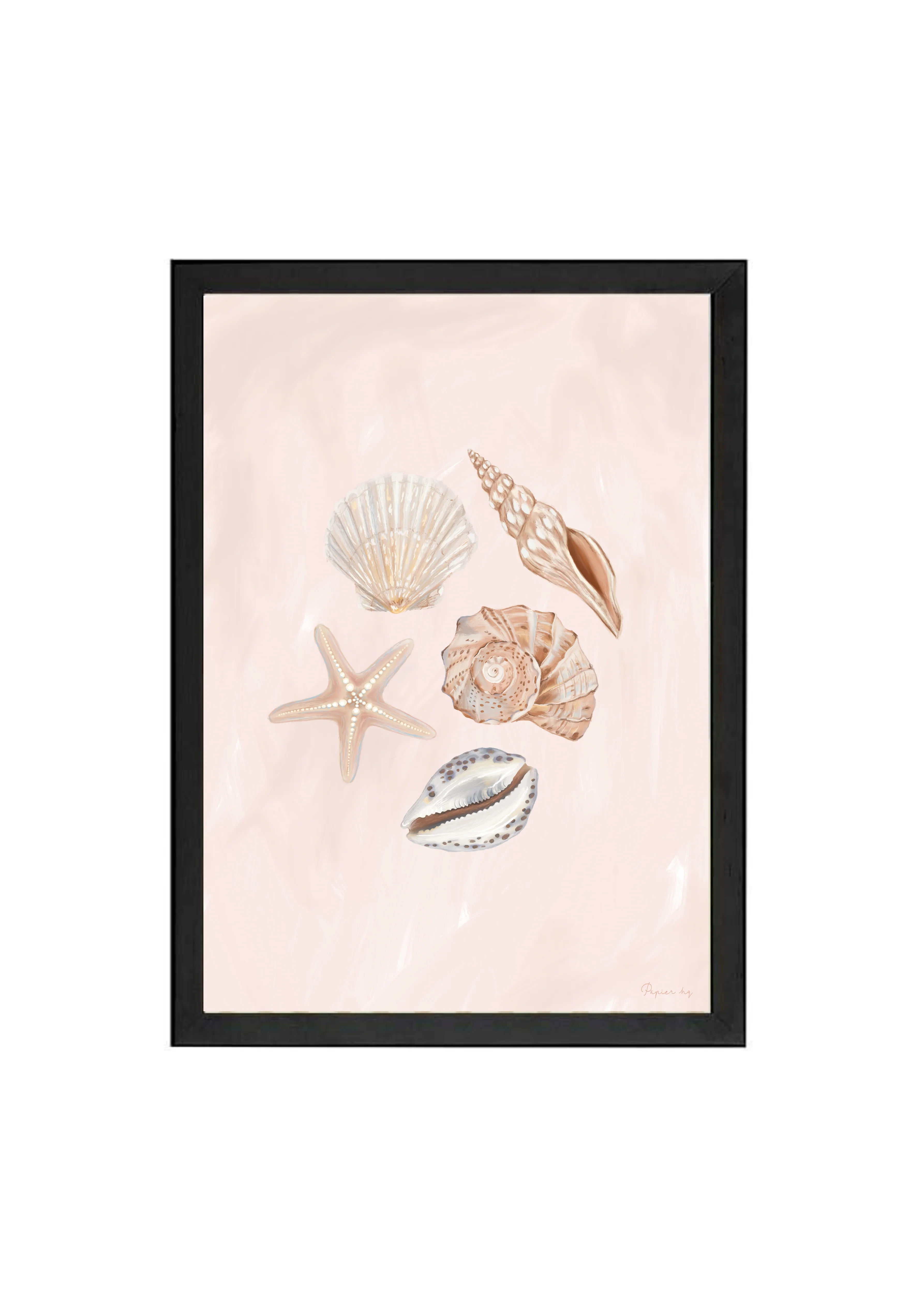She Sells Seashells - Image 16