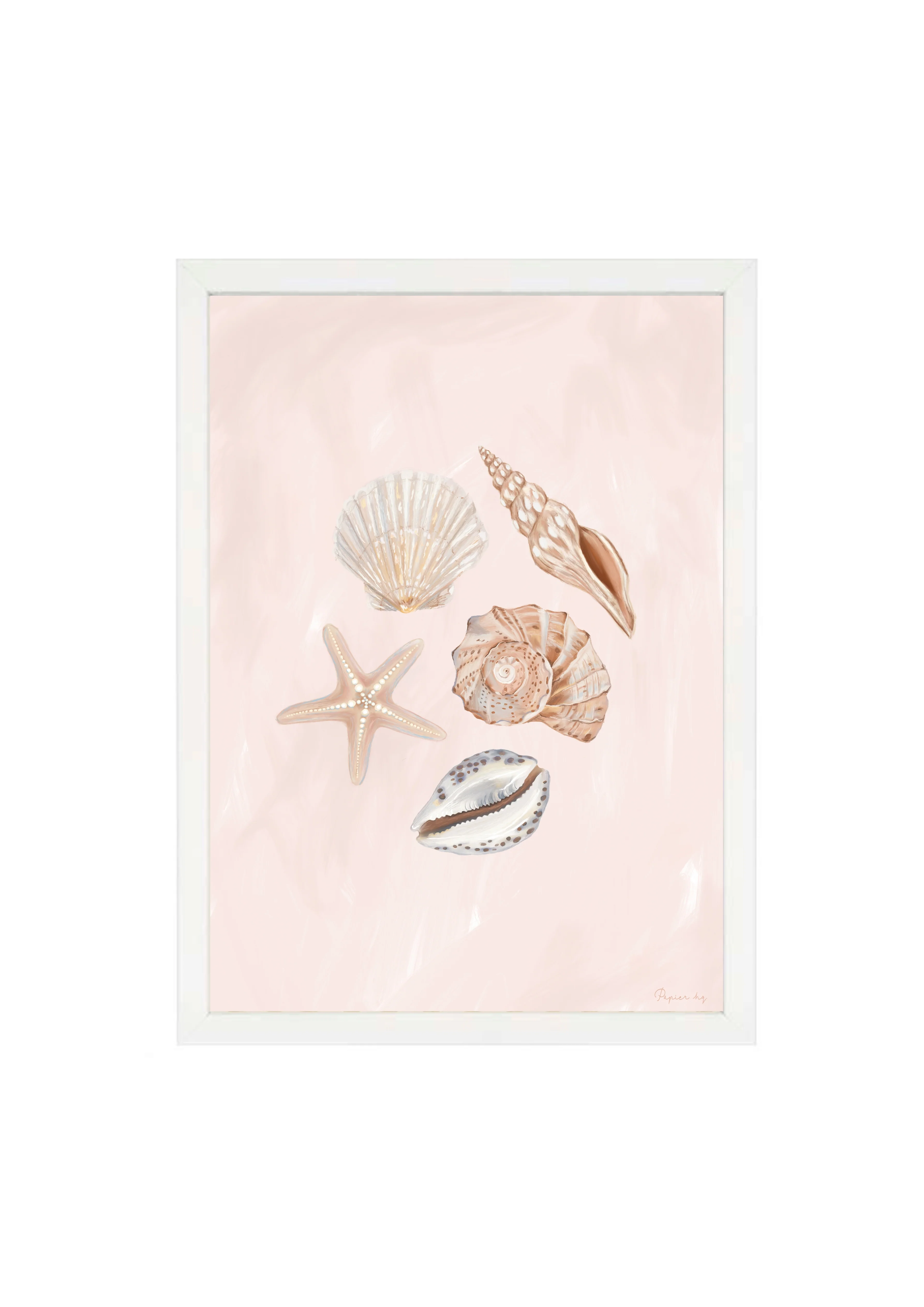 She Sells Seashells - Image 18