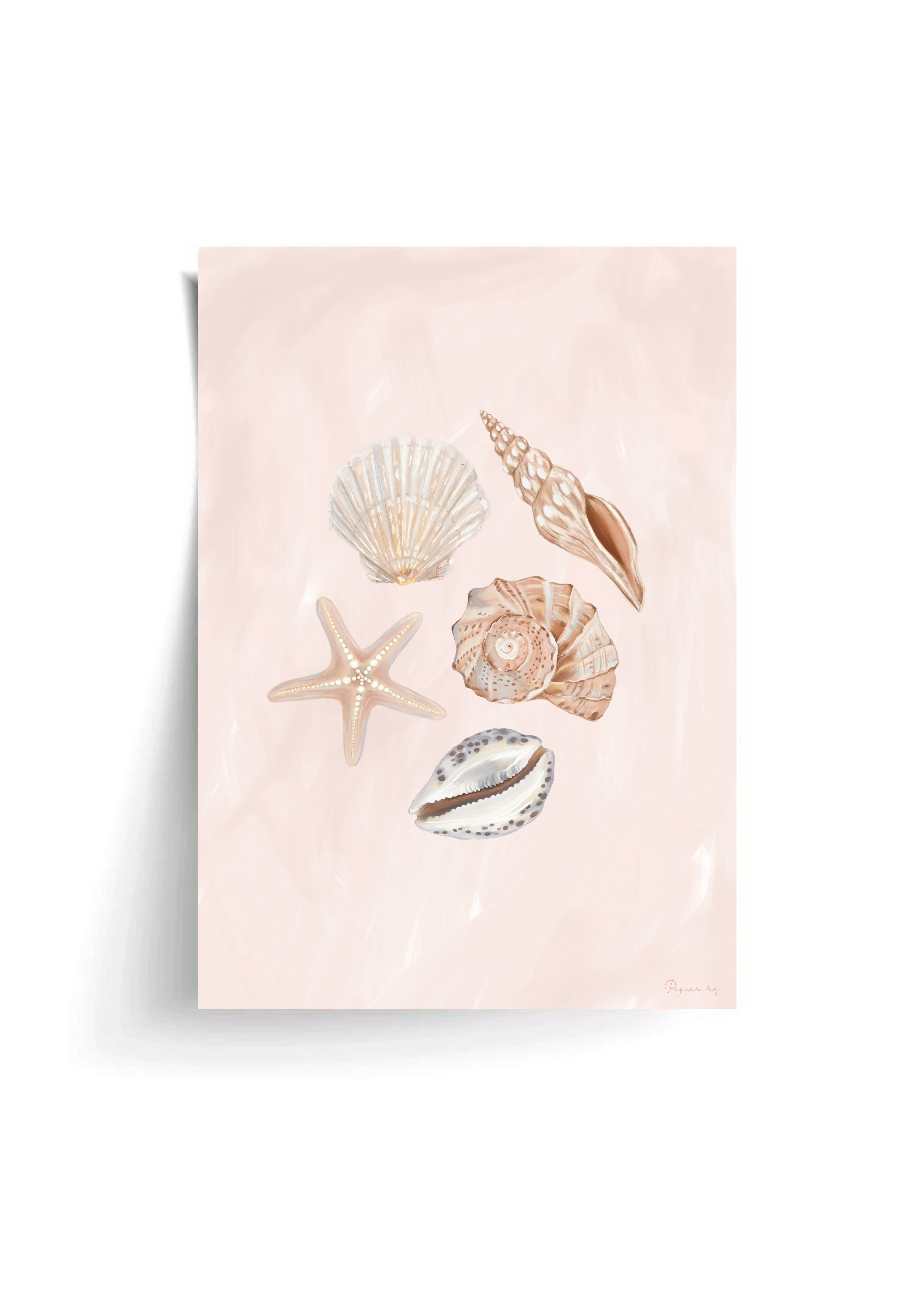 She Sells Seashells - Image 2