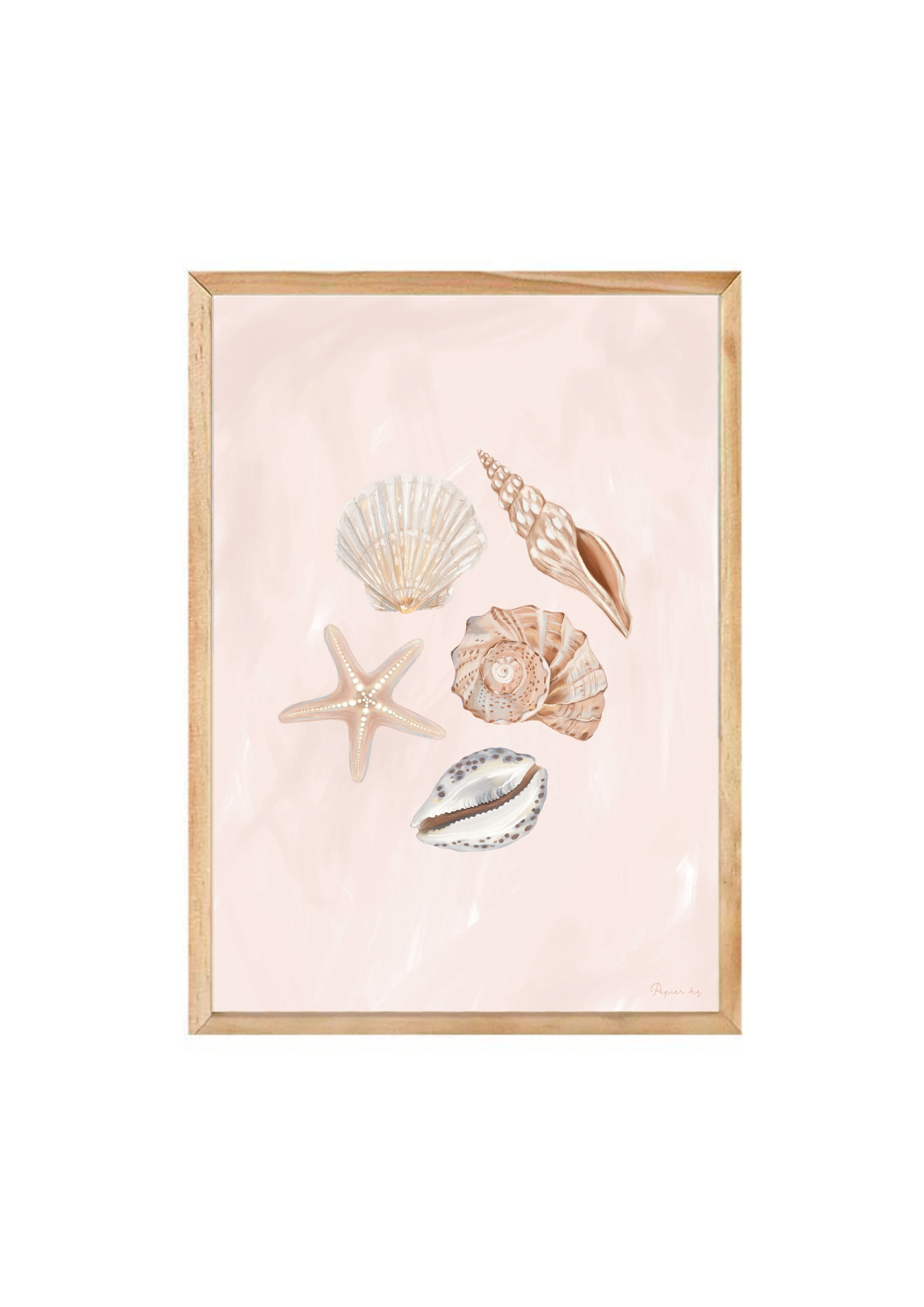 She Sells Seashells - Image 3