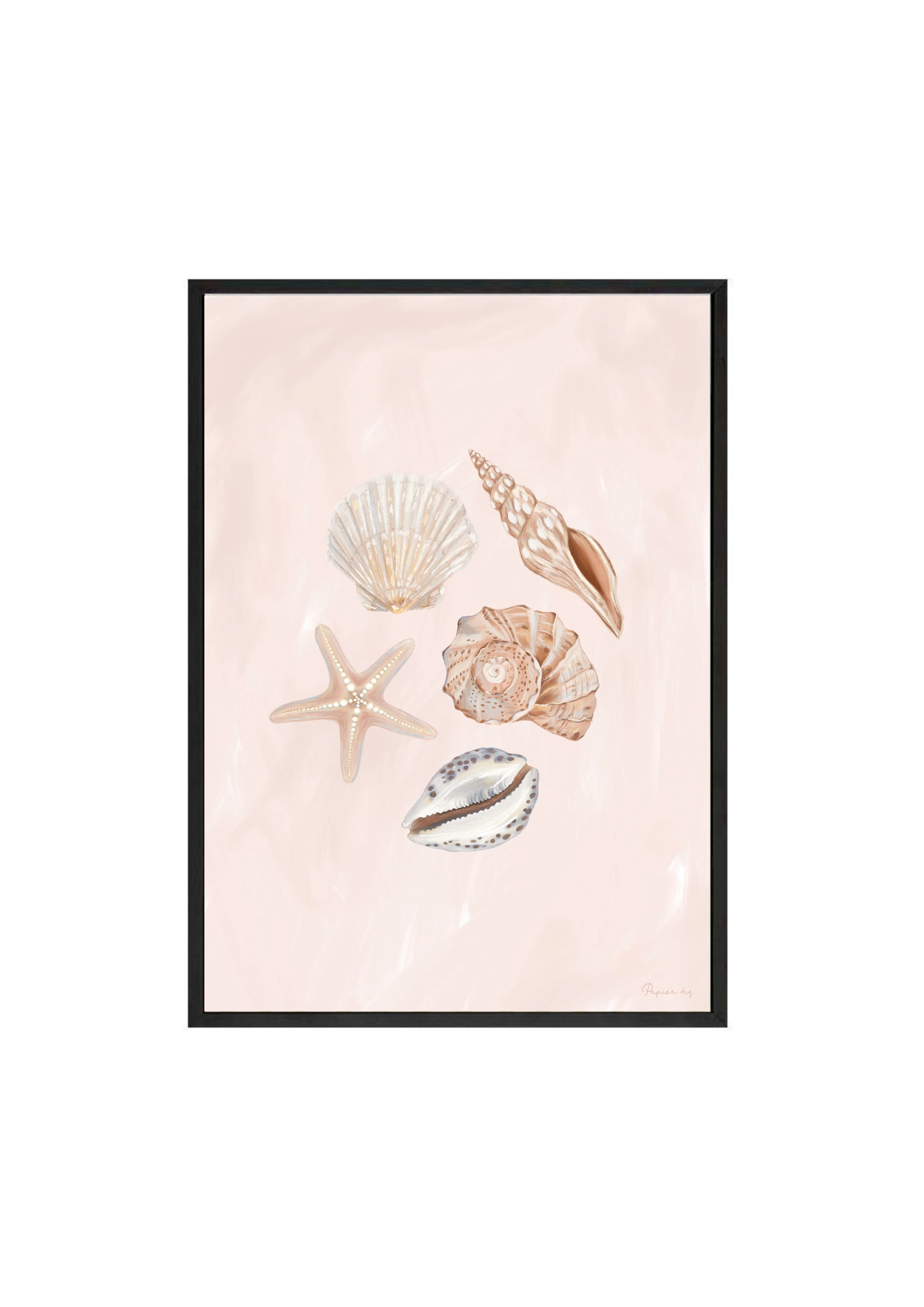 She Sells Seashells - Image 4