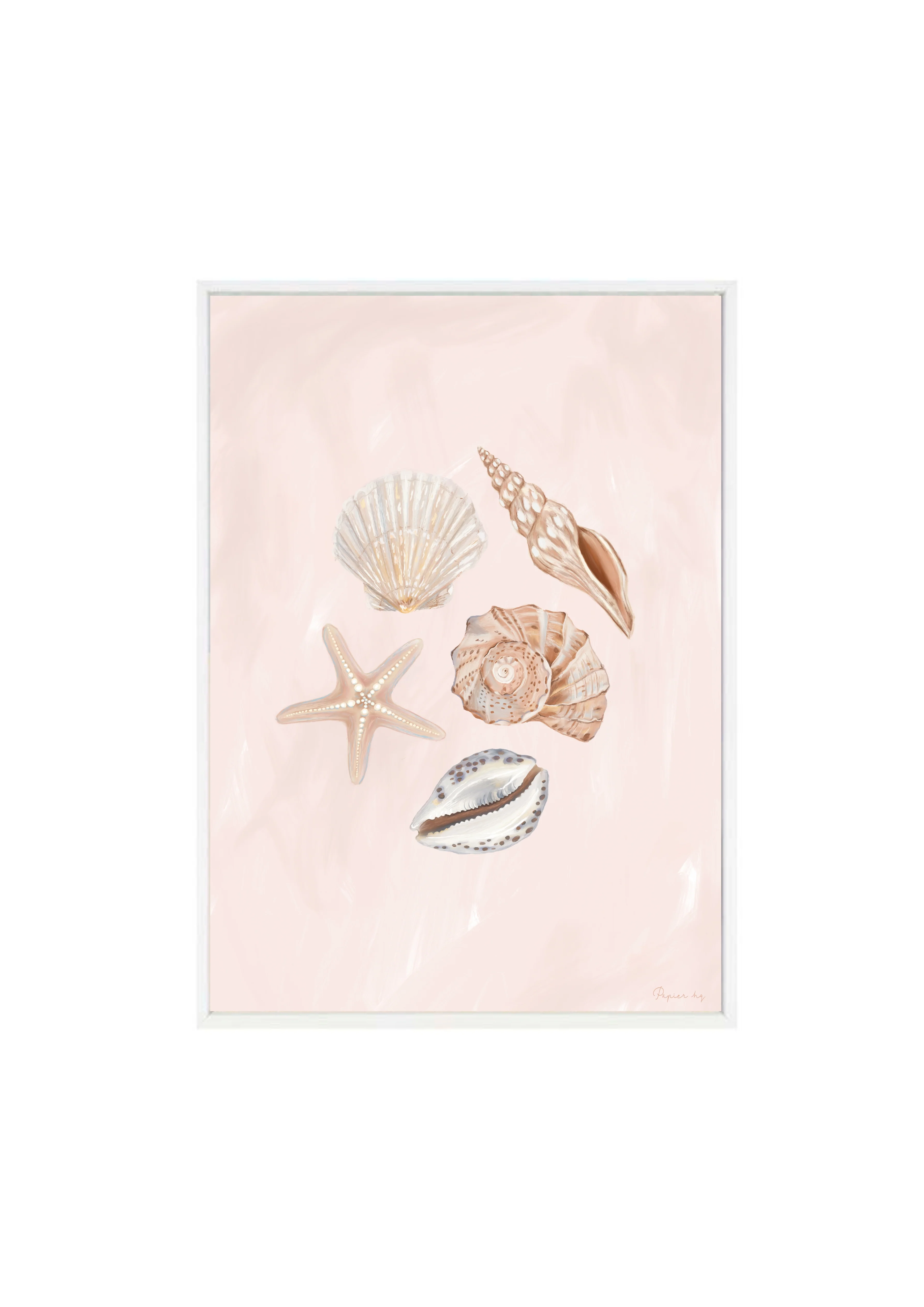 She Sells Seashells - Image 5