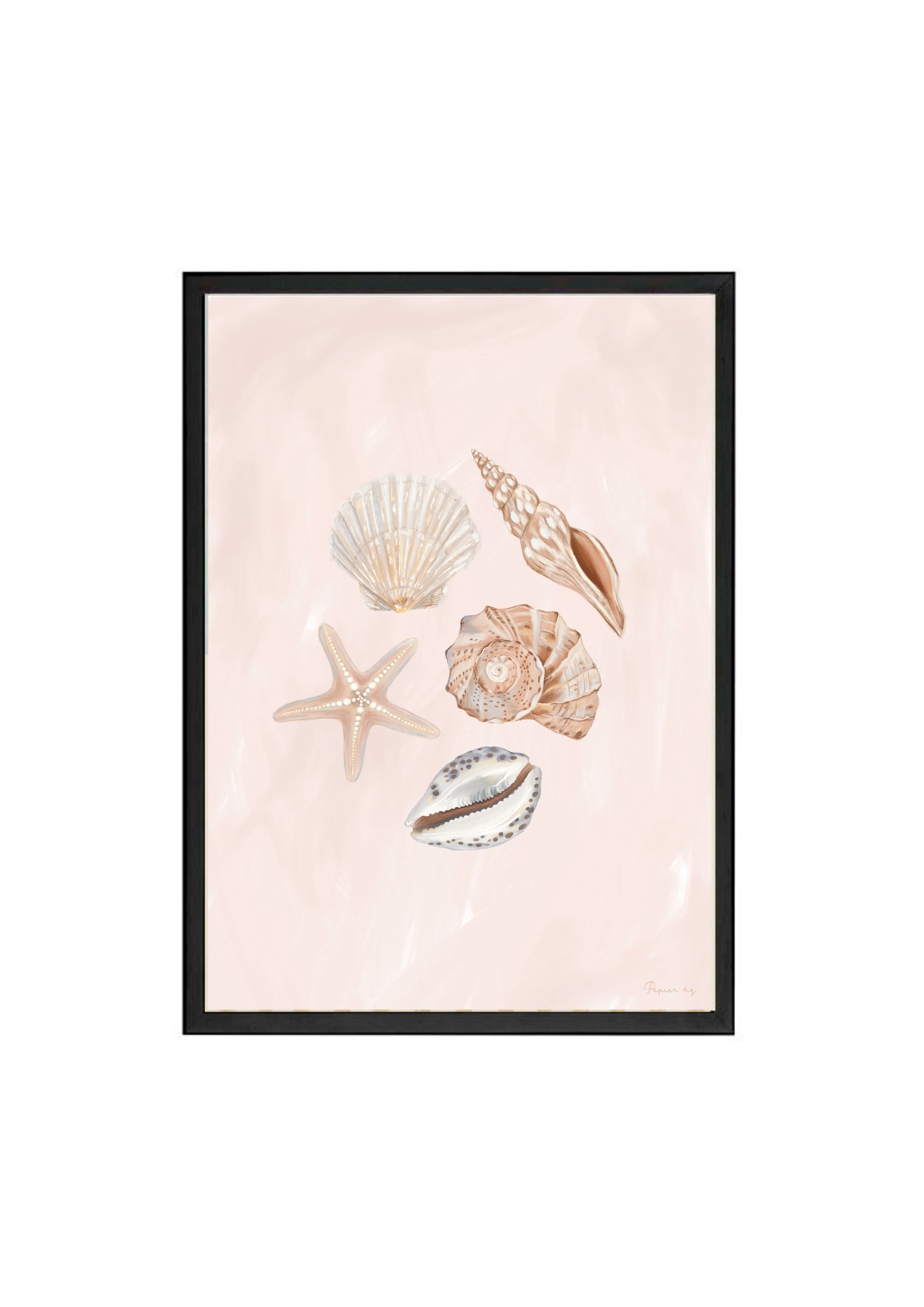 She Sells Seashells - Image 6