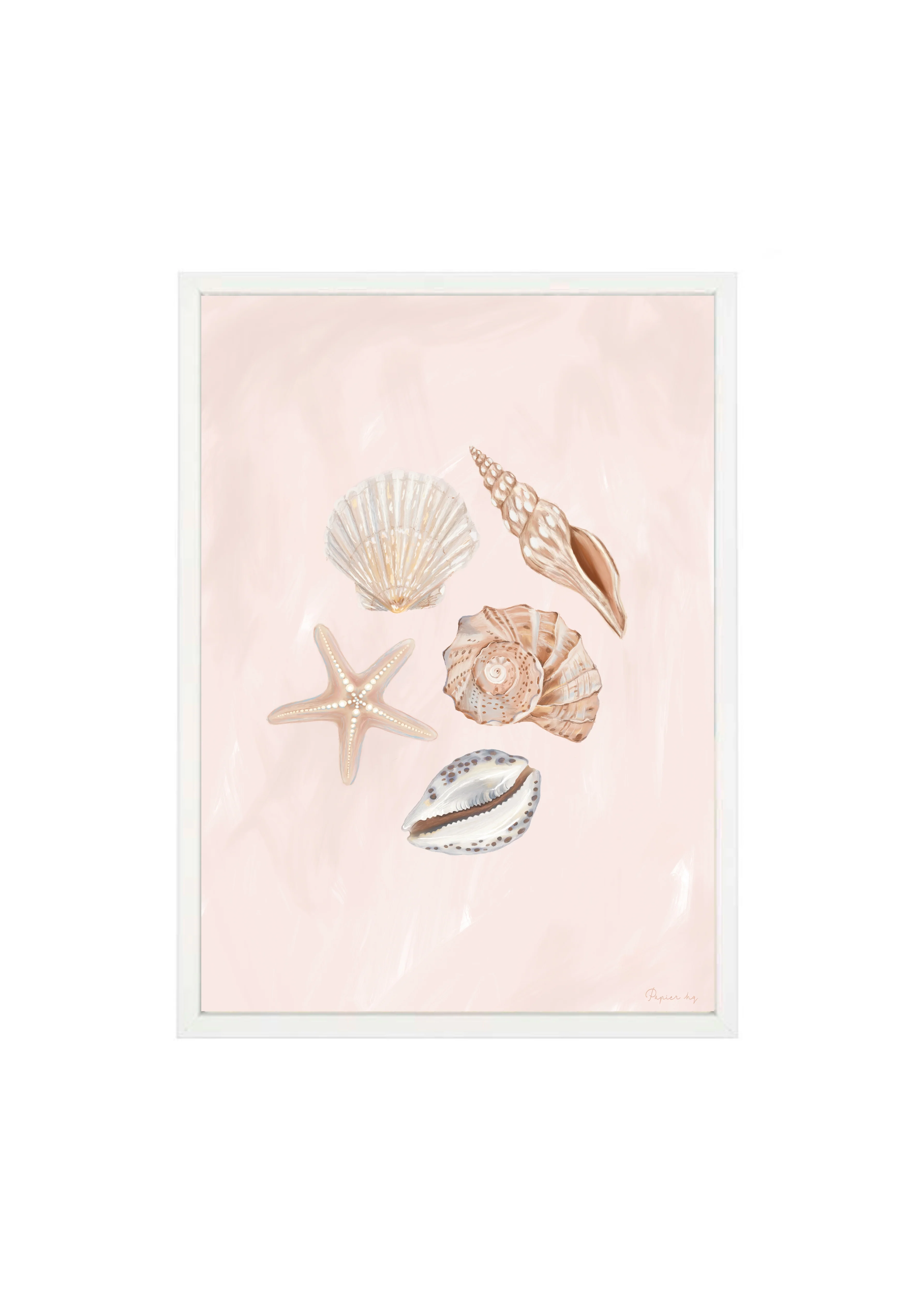 She Sells Seashells - Image 7