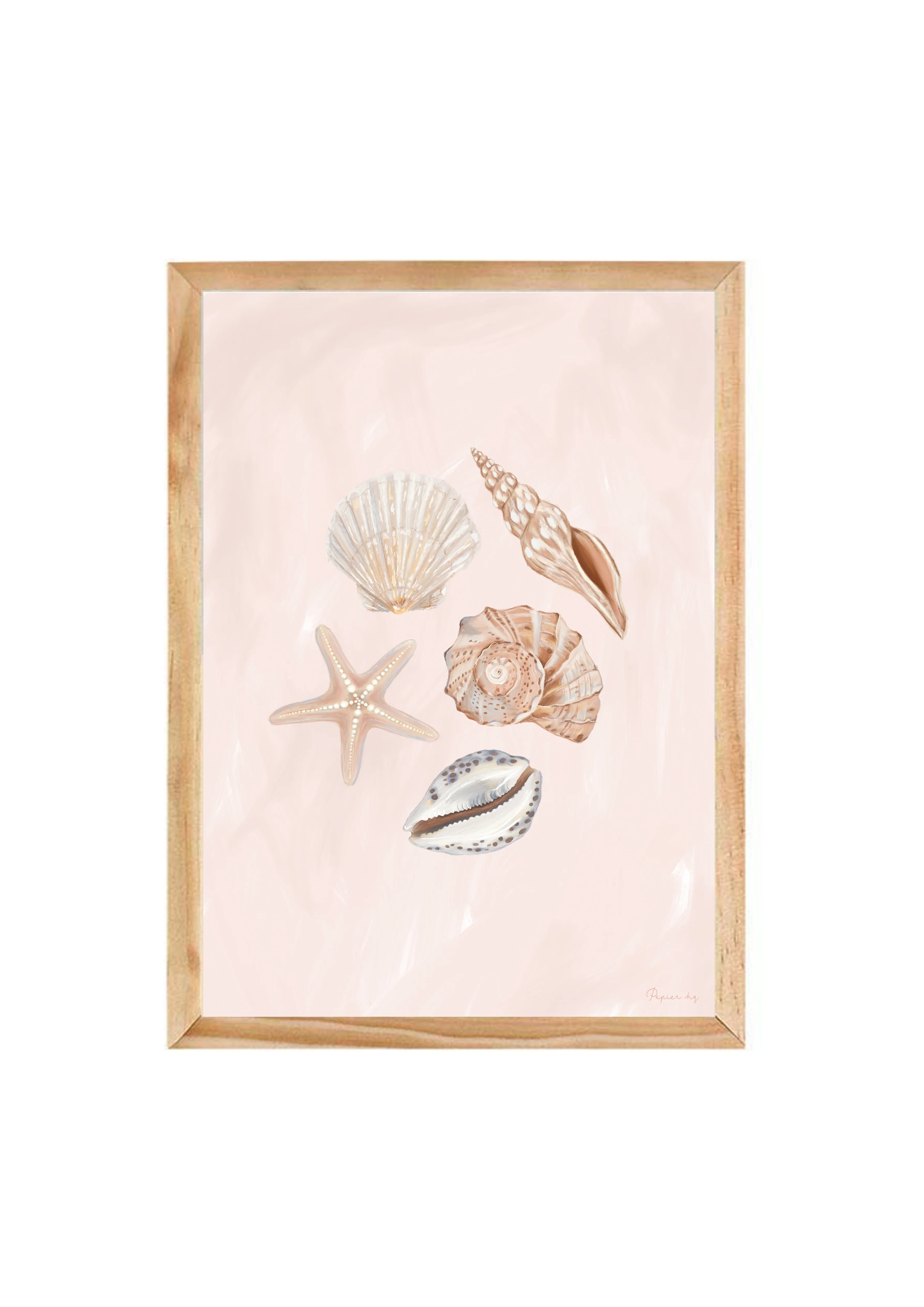 She Sells Seashells - Image 8