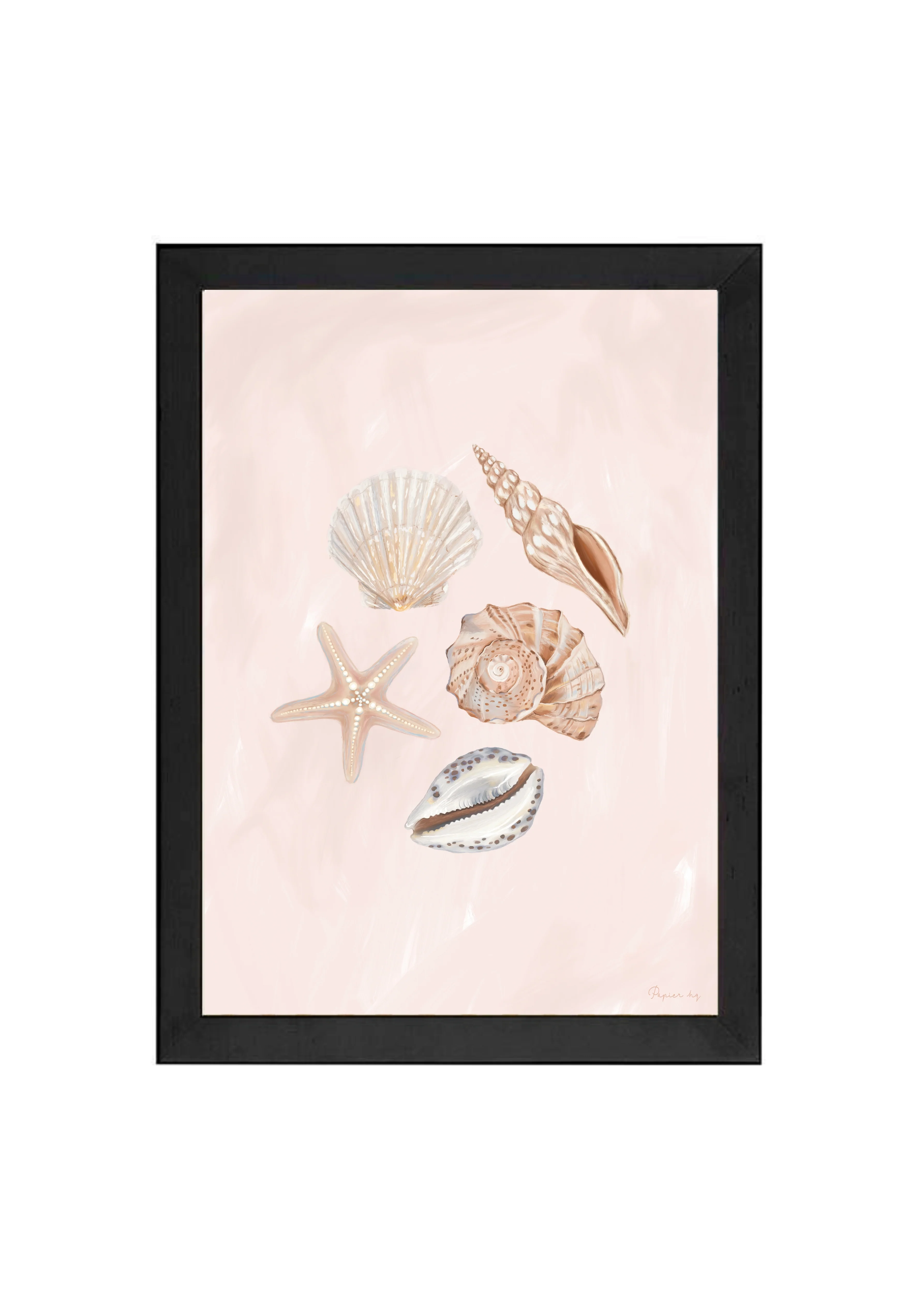 She Sells Seashells - Image 9