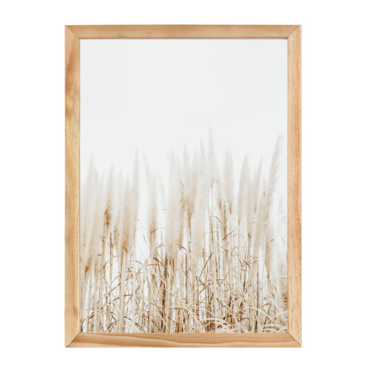 PAMPAS PRINT - Image 13