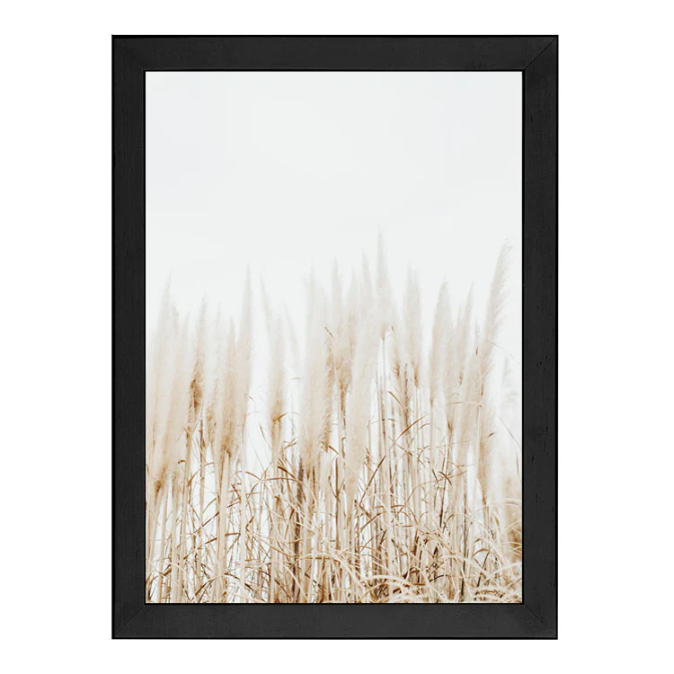 PAMPAS PRINT - Image 14