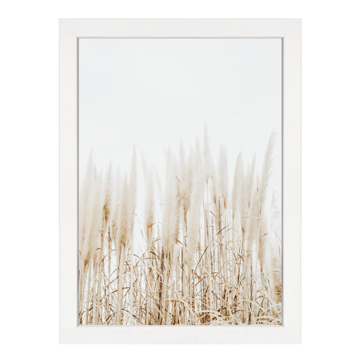 PAMPAS PRINT - Image 15