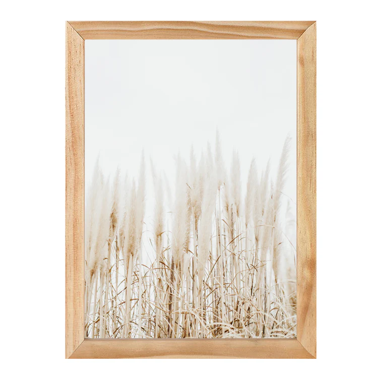 PAMPAS PRINT - Image 16