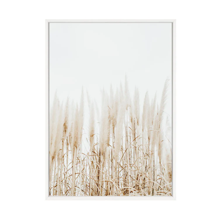 PAMPAS PRINT - Image 5