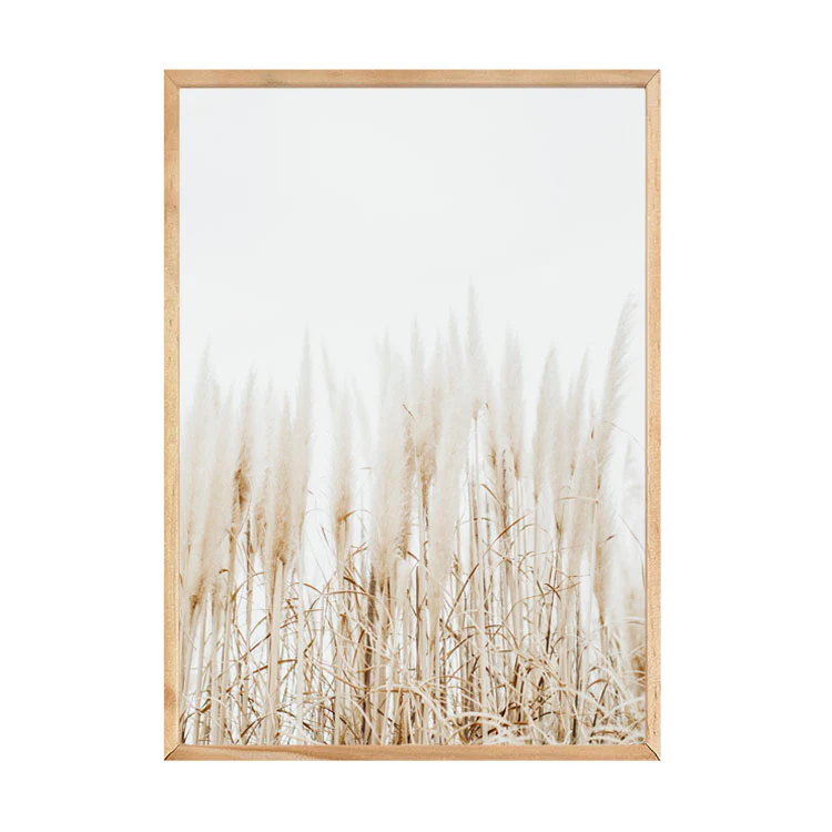 PAMPAS PRINT - Image 7