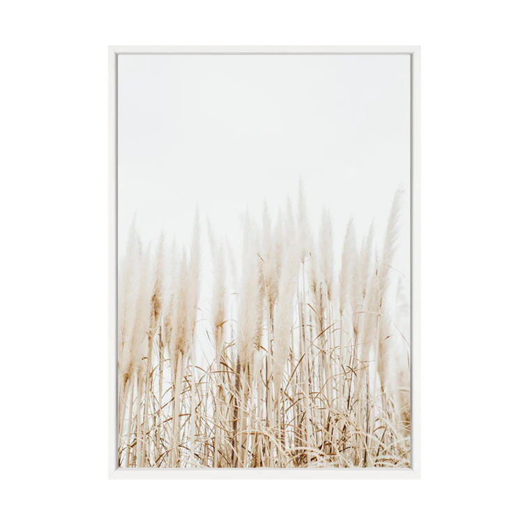 PAMPAS PRINT - Image 8