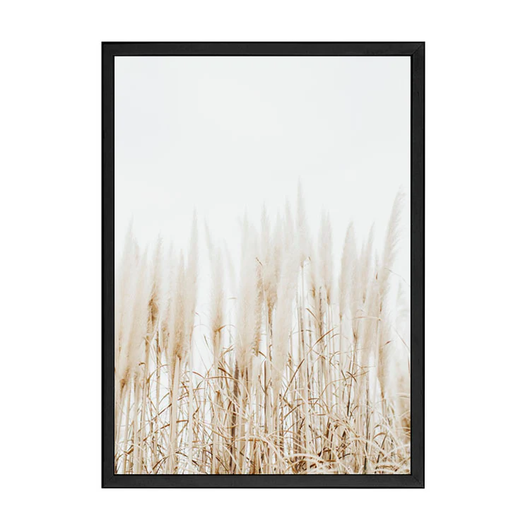 PAMPAS PRINT - Image 9