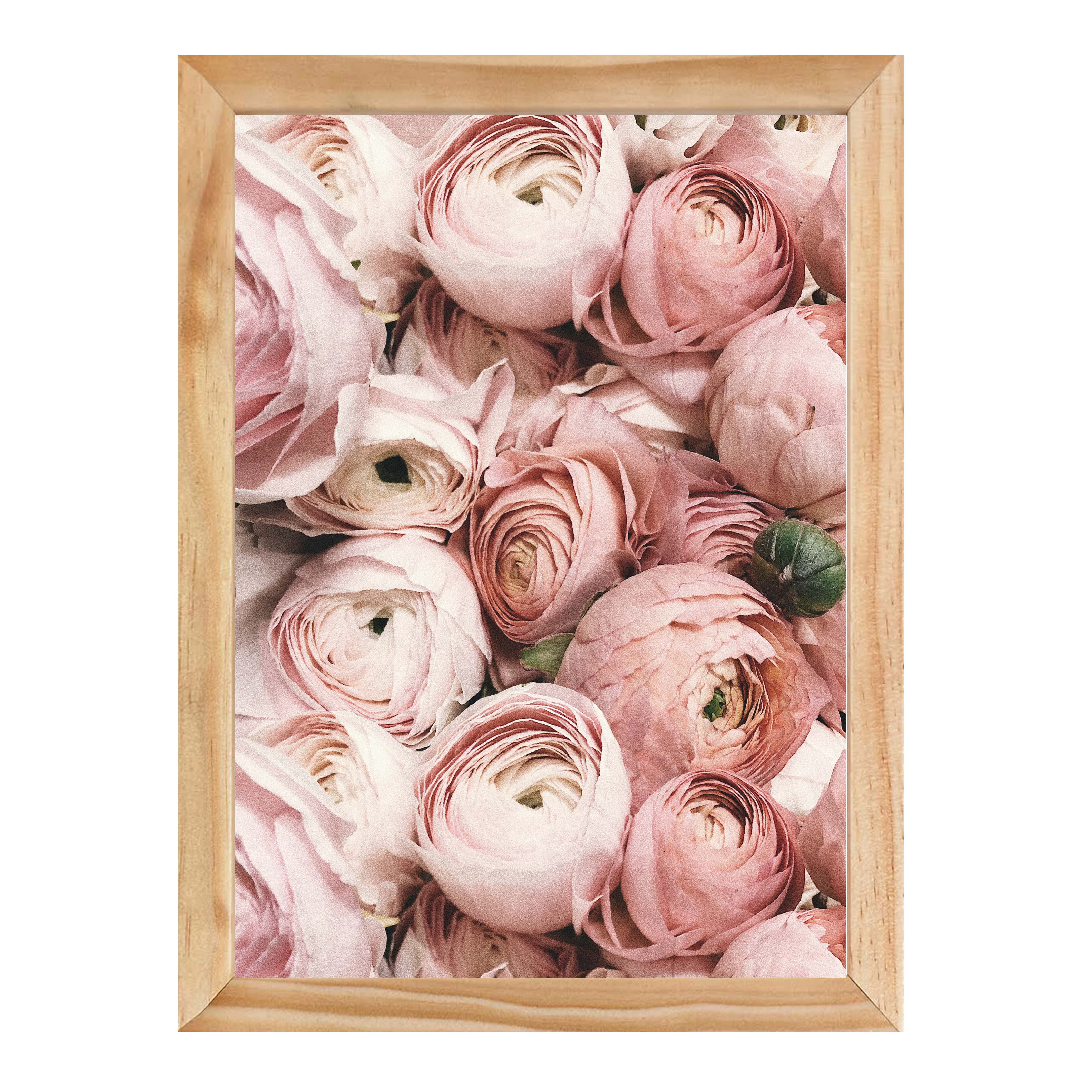 PRETTY PETALS PRINT - Image 10