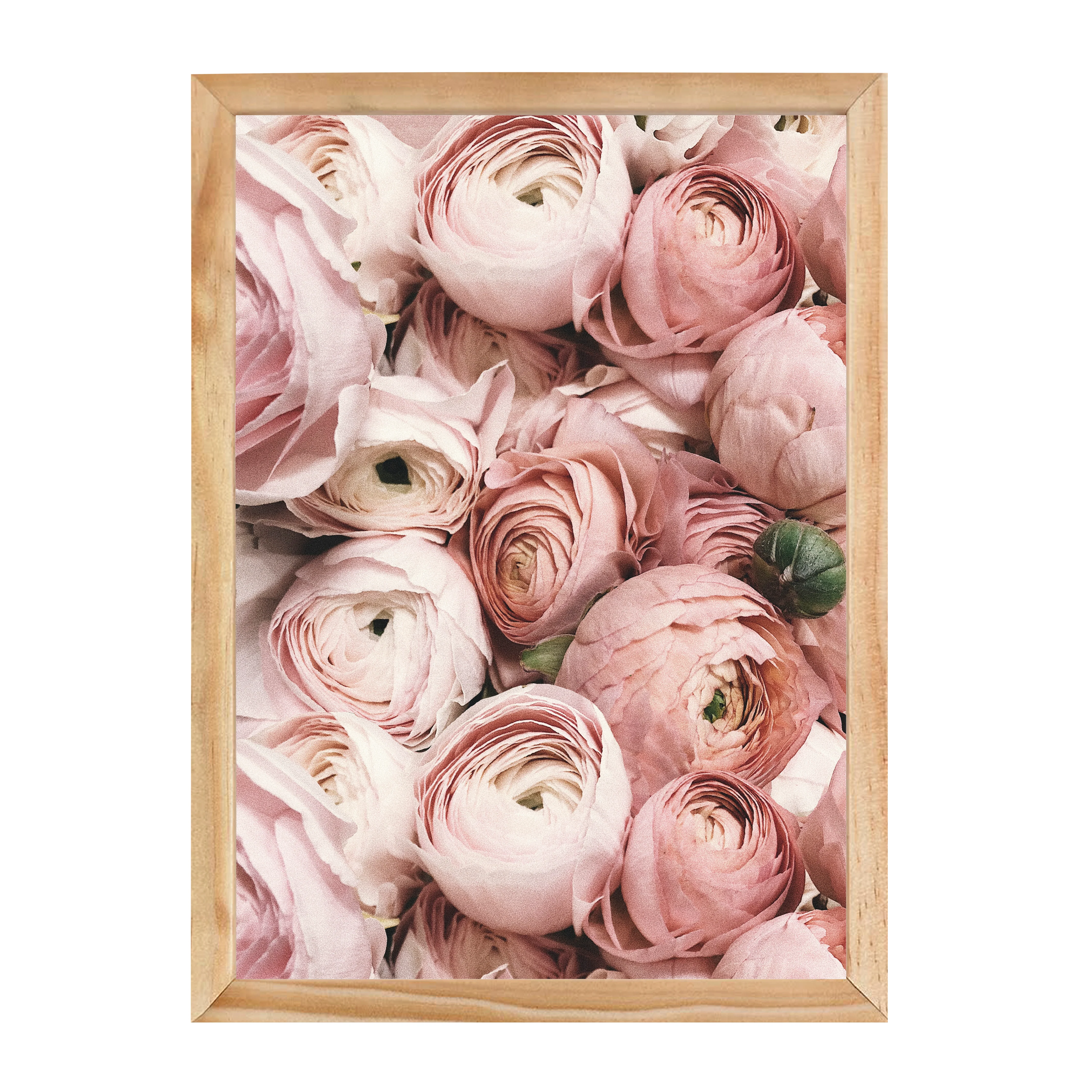 PRETTY PETALS PRINT - Image 11