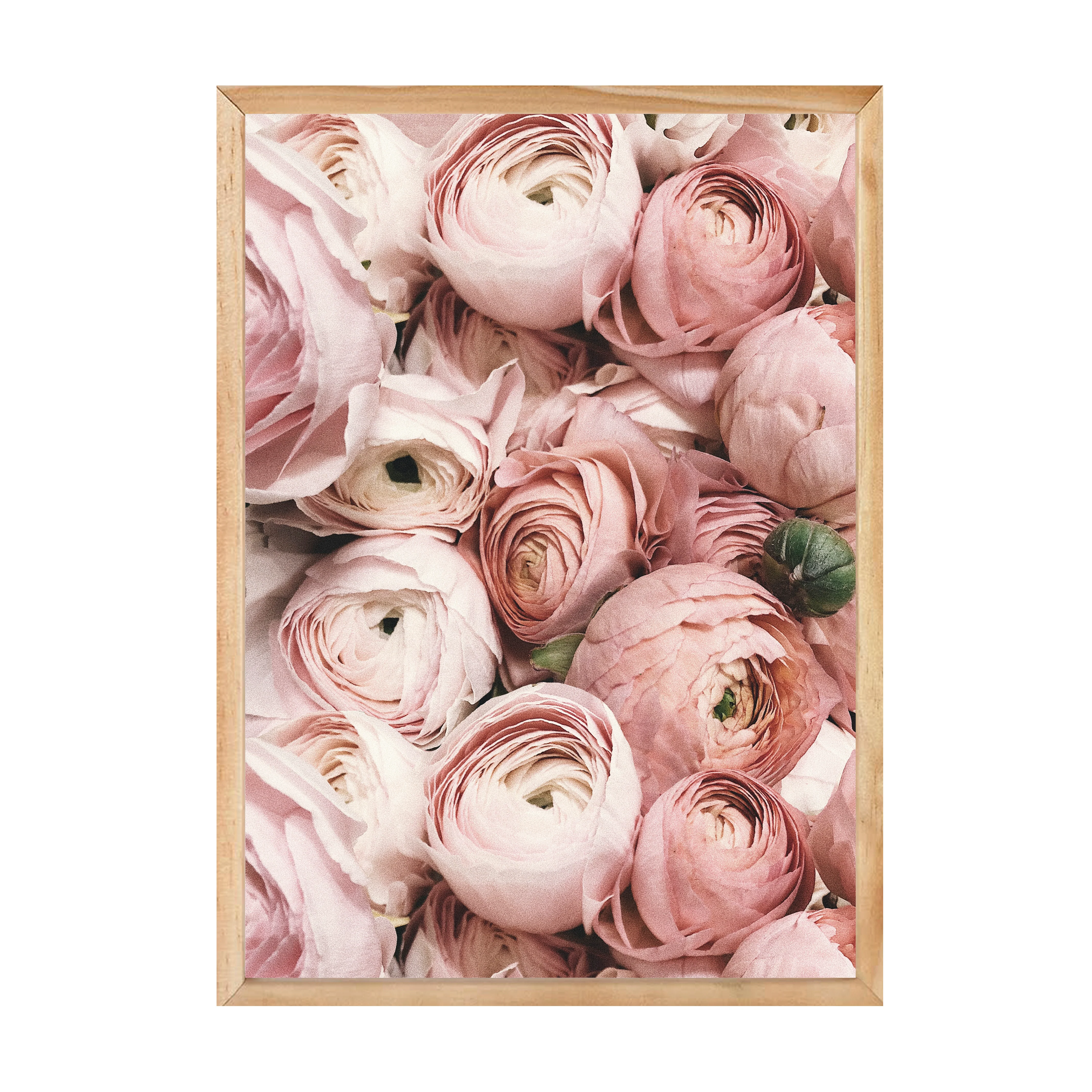 PRETTY PETALS PRINT - Image 12