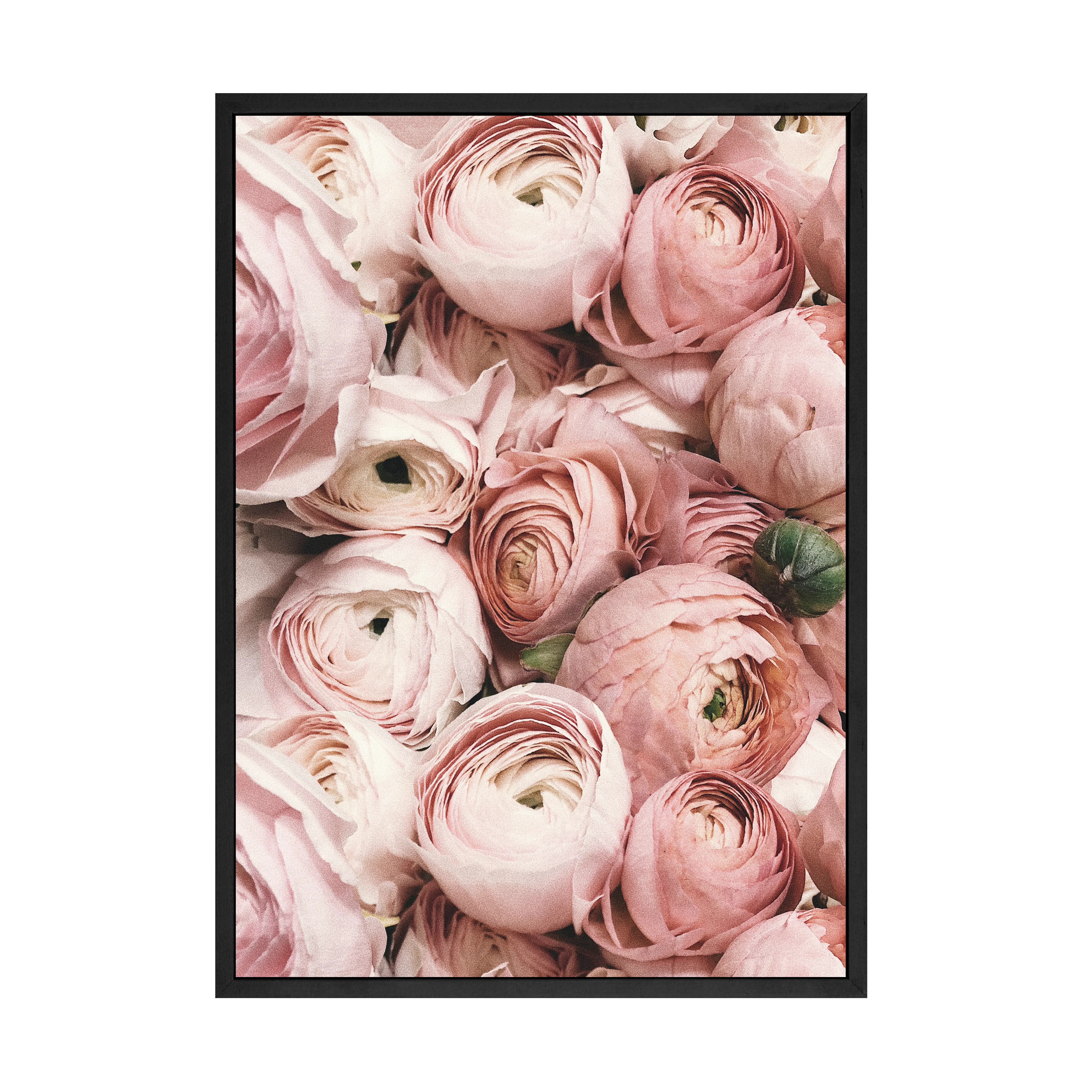 PRETTY PETALS PRINT - Image 3