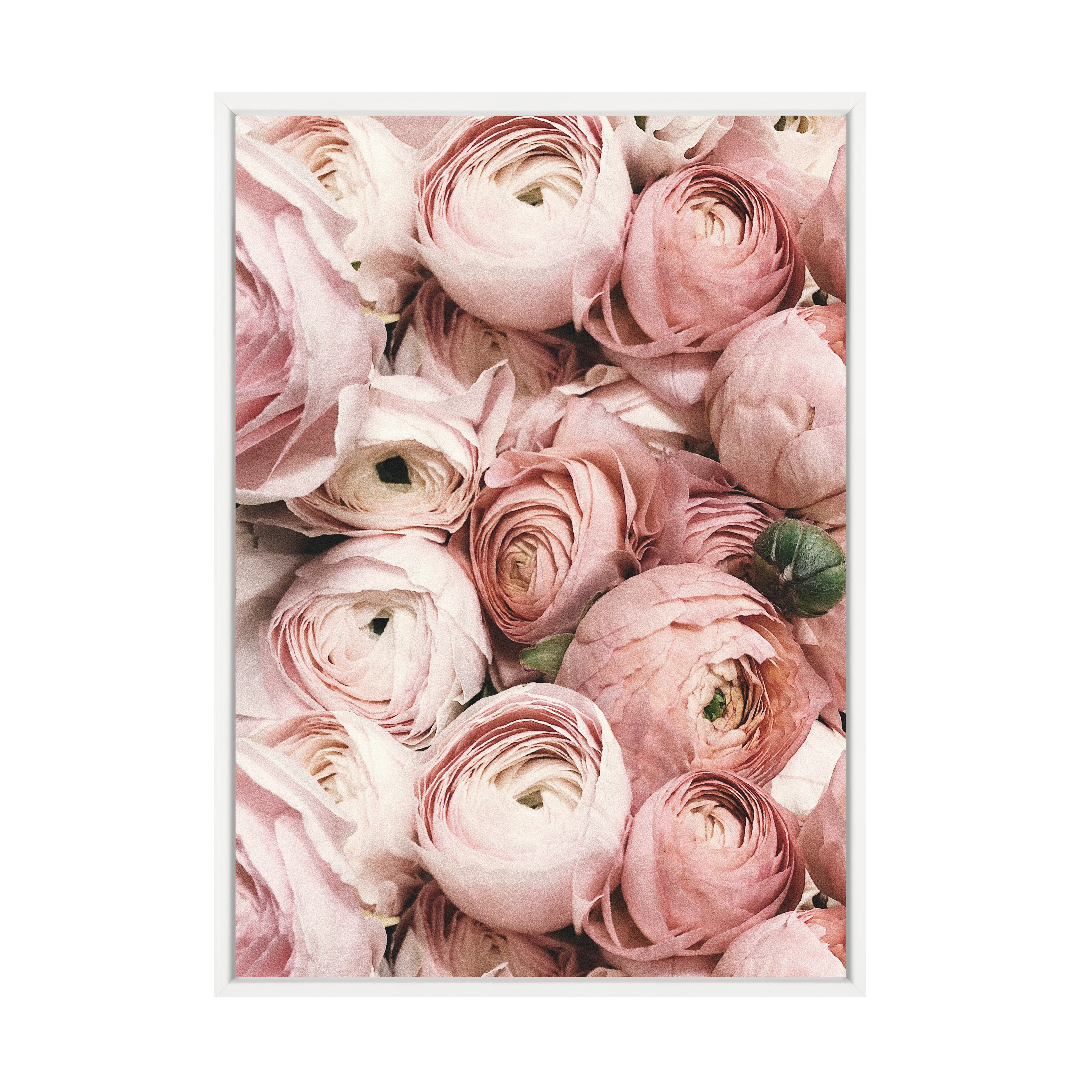 PRETTY PETALS PRINT - Image 4