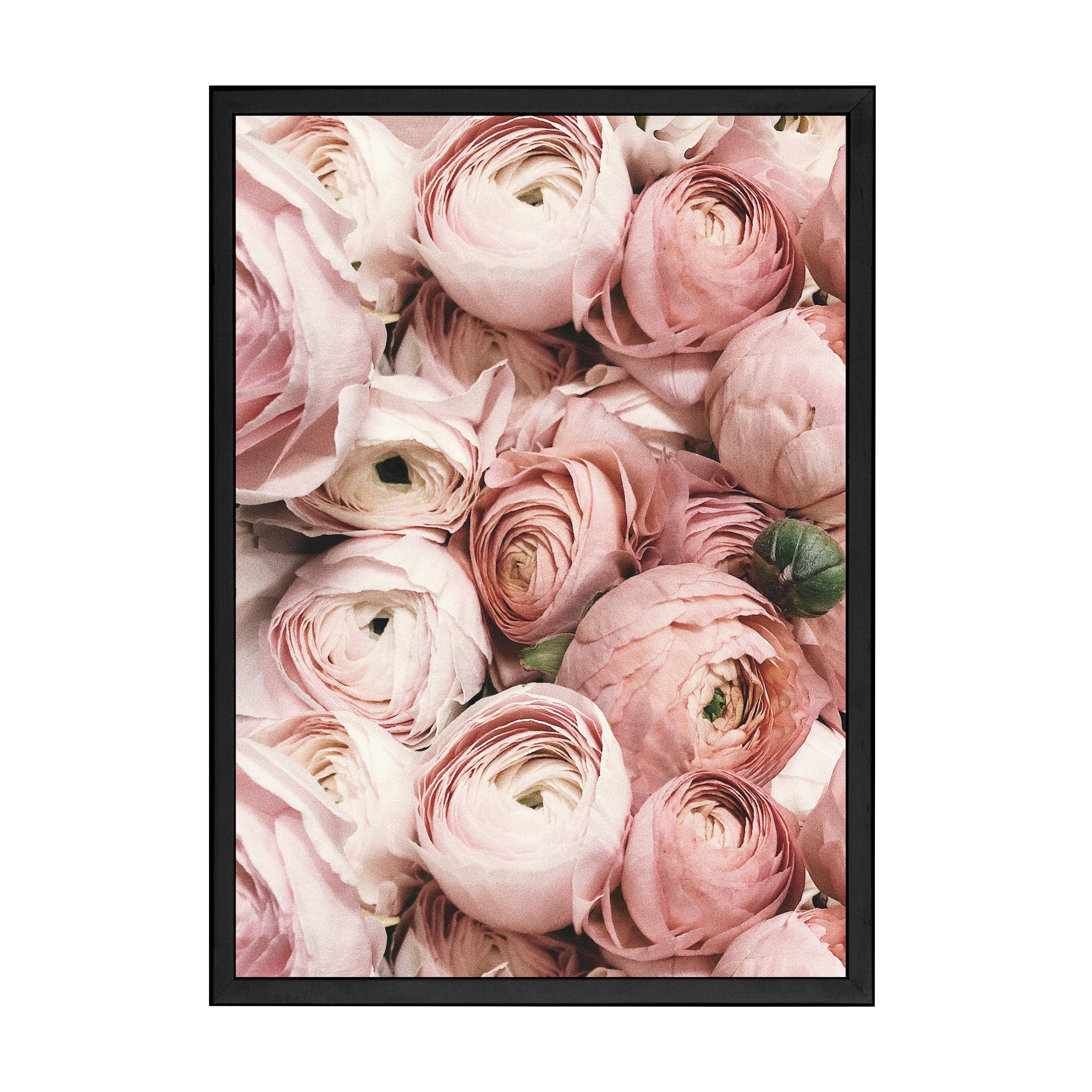 PRETTY PETALS PRINT - Image 5