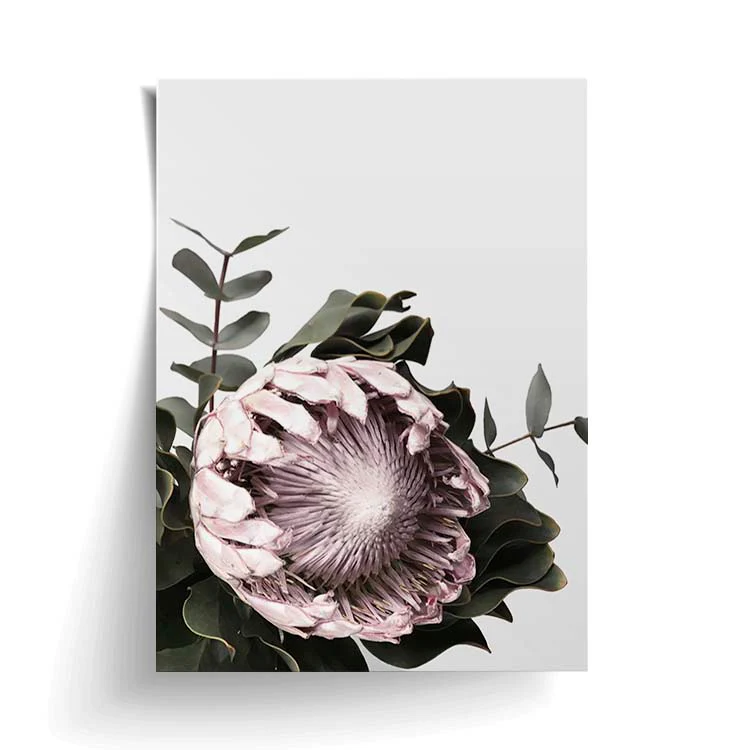 PROTEA PRINT - Image 10