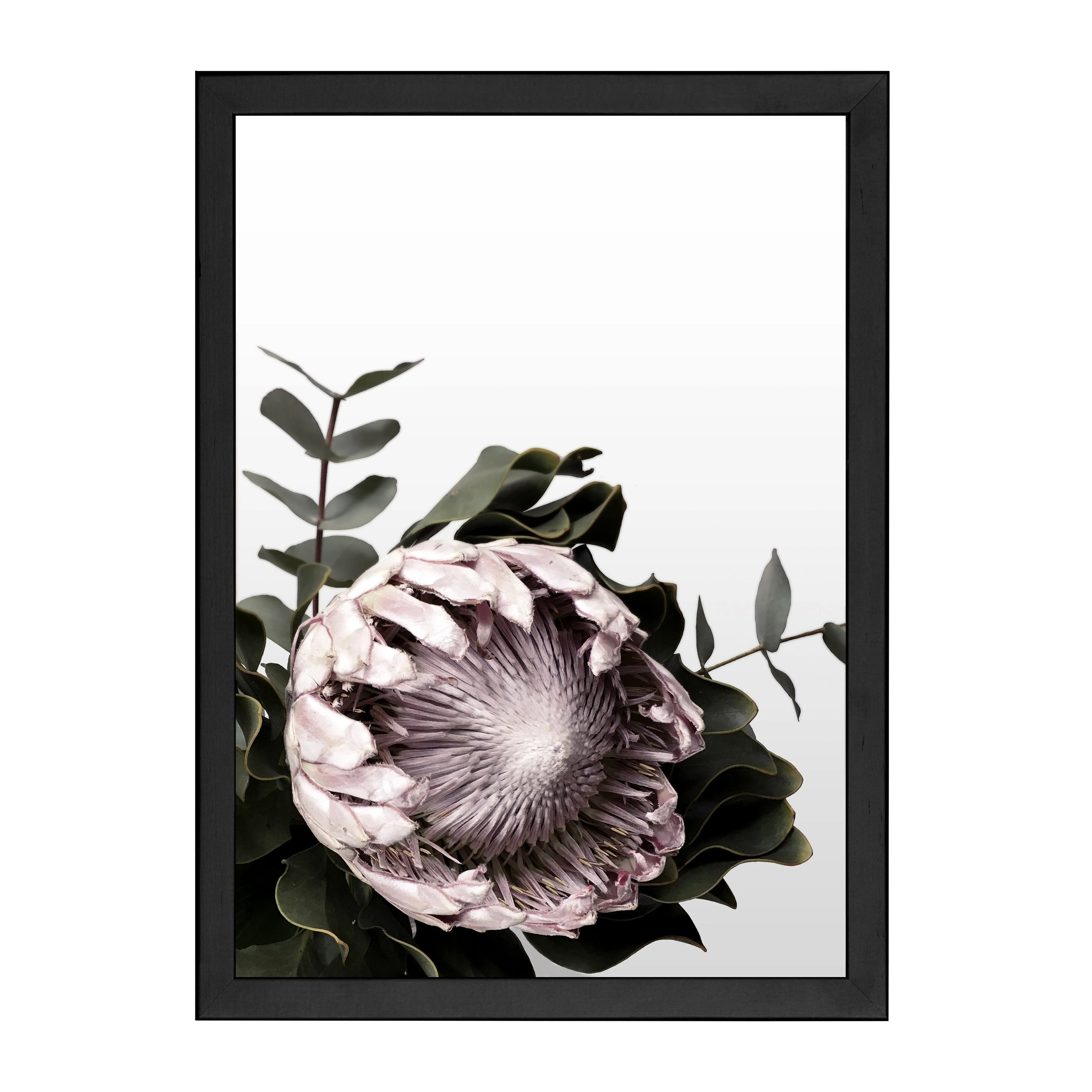 PROTEA PRINT - Image 6