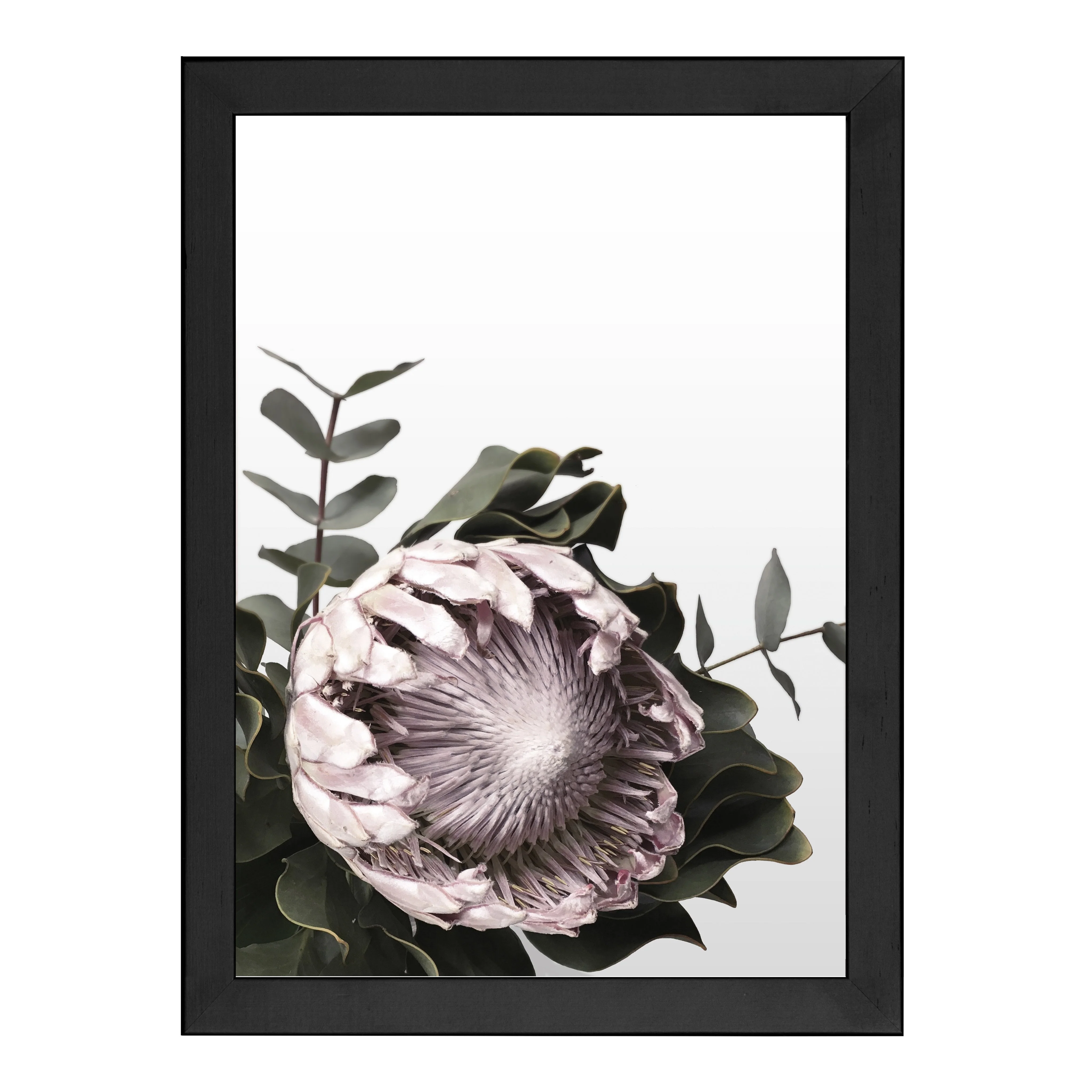 PROTEA PRINT - Image 7
