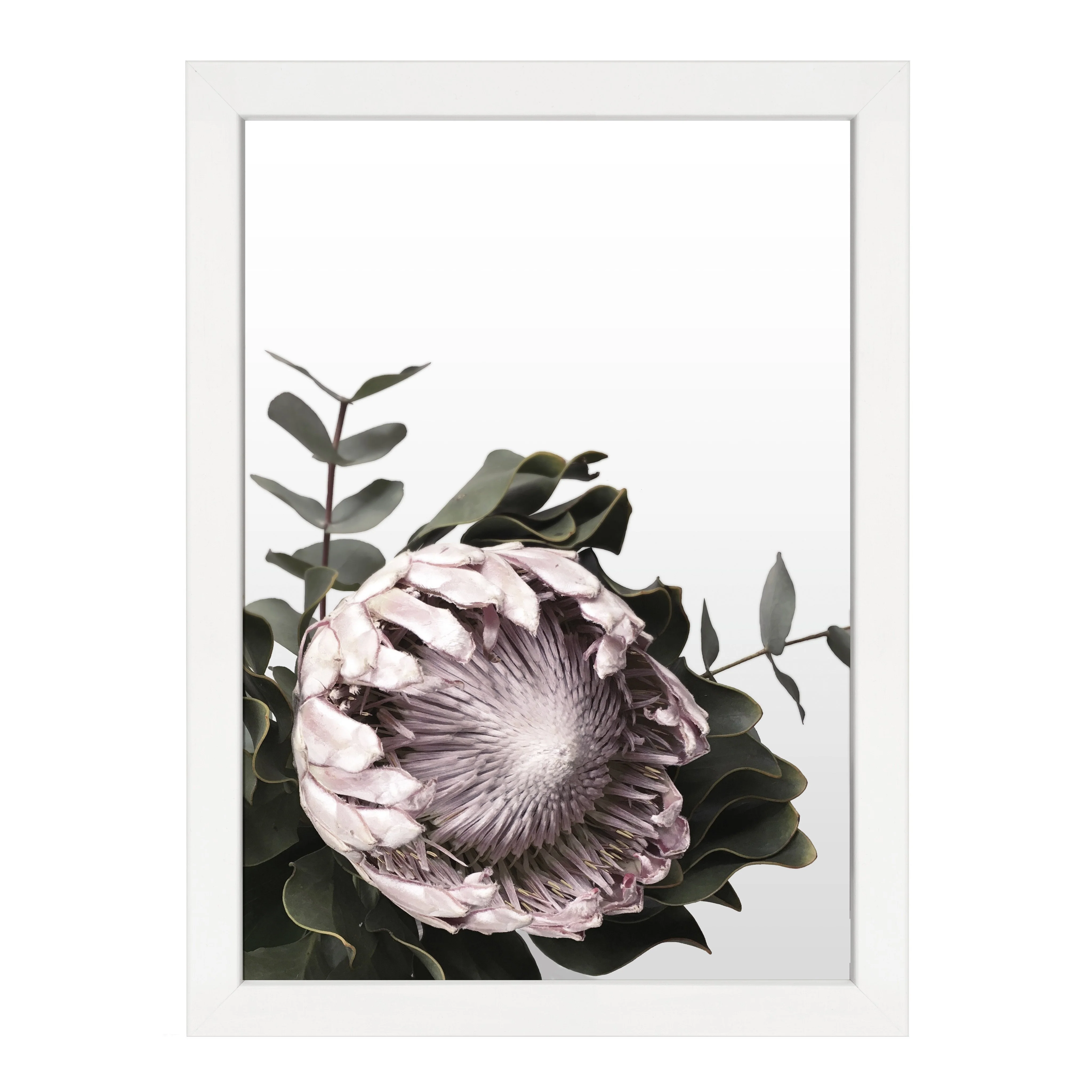 PROTEA PRINT - Image 8