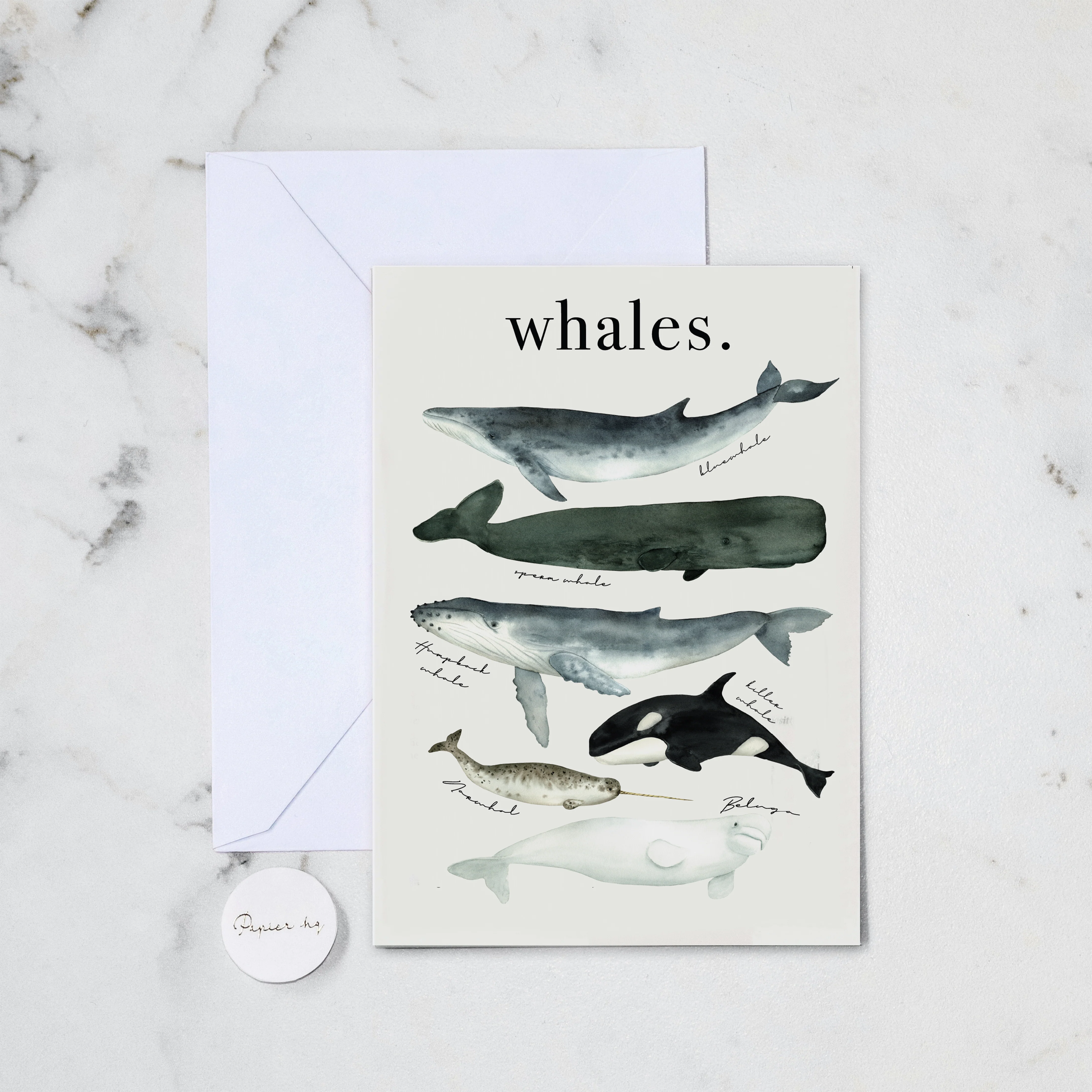 WATERCOLOUR WHALES