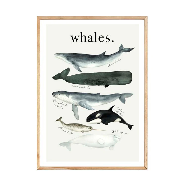WATERCOLOUR WHALES PRINT - Image 11