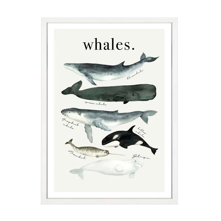 WATERCOLOUR WHALES PRINT - Image 15