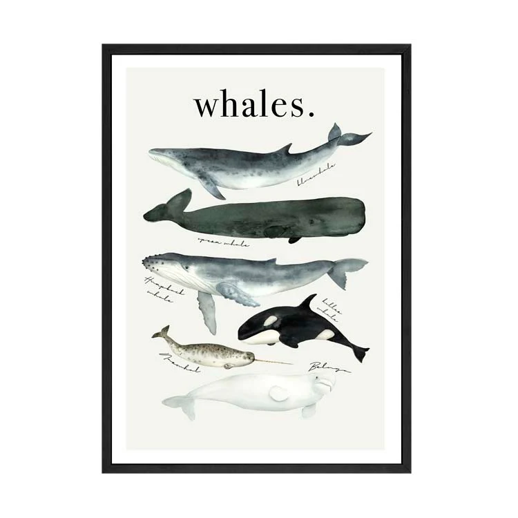 WATERCOLOUR WHALES PRINT - Image 17